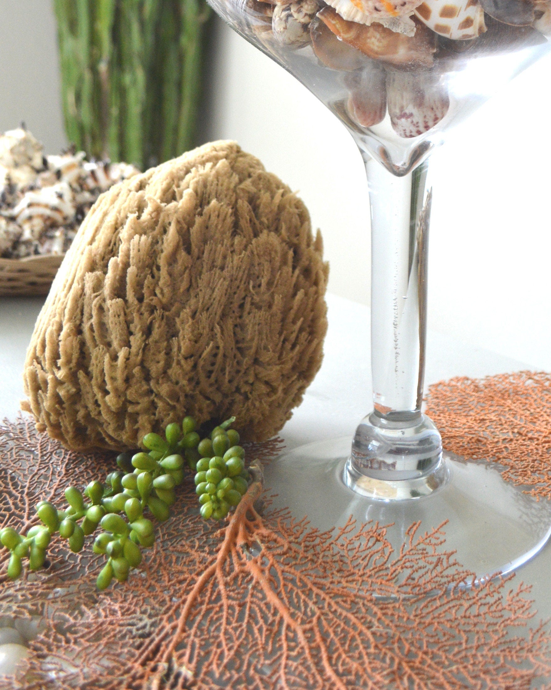 Large Natural Sea Sponges *You Choose Size Up to 10"* Crafts & Painting - Image 2