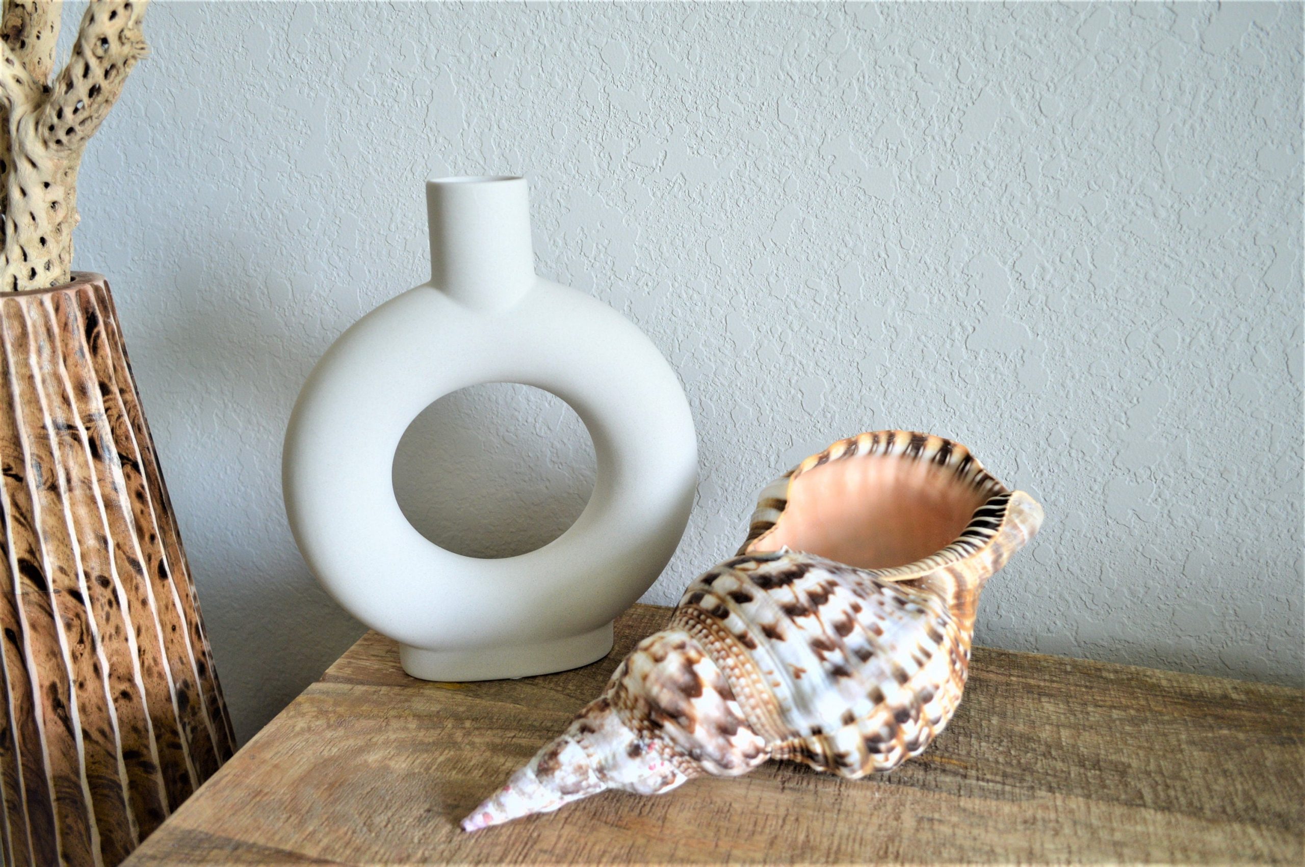 CARIBBEAN TRITON TRUMPET *All Sizes* Display Seashell Coastal Beach Home Décor - Image 5