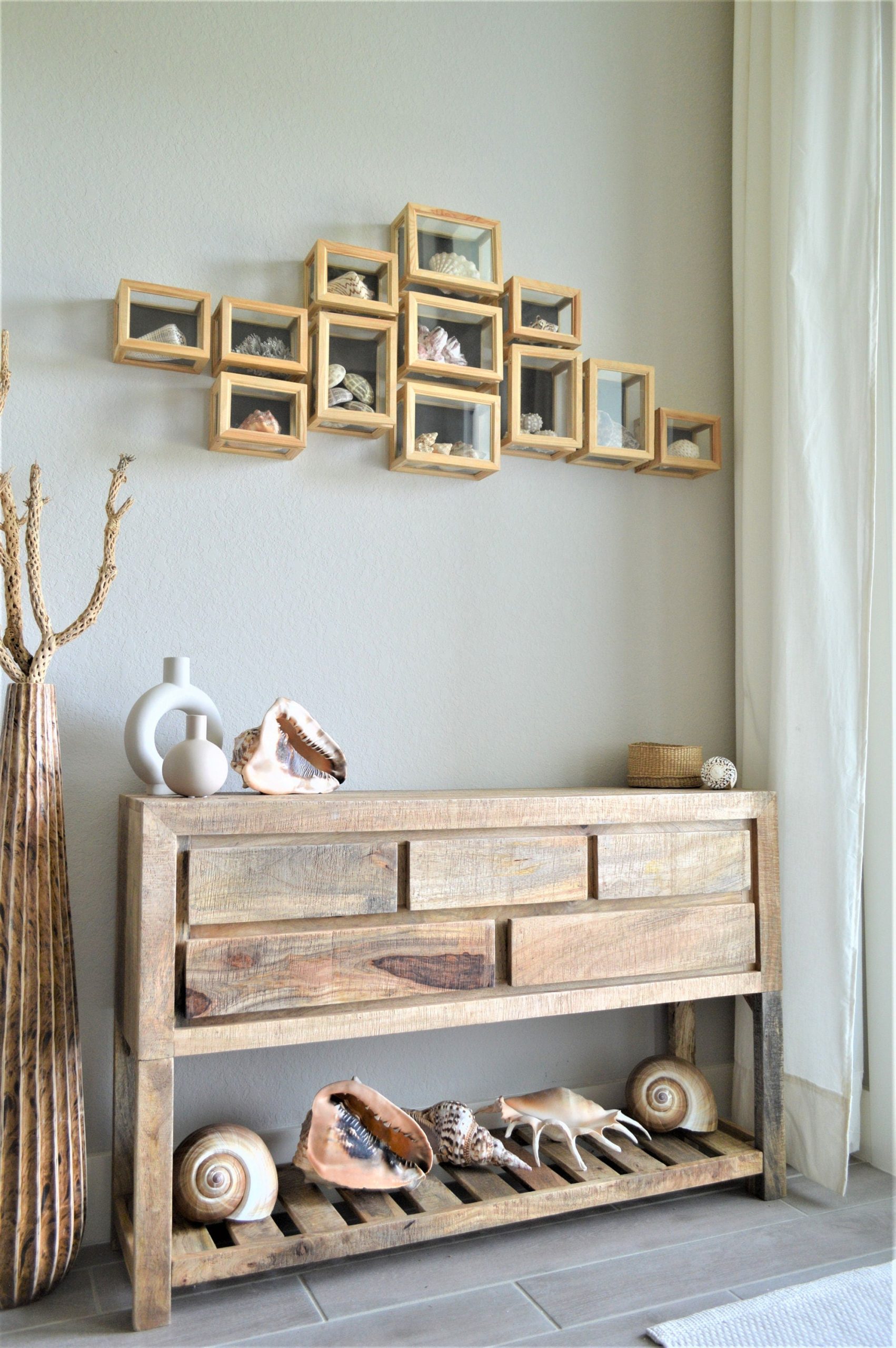 CARIBBEAN TRITON TRUMPET *All Sizes* Display Seashell Coastal Beach Home Décor - Image 9