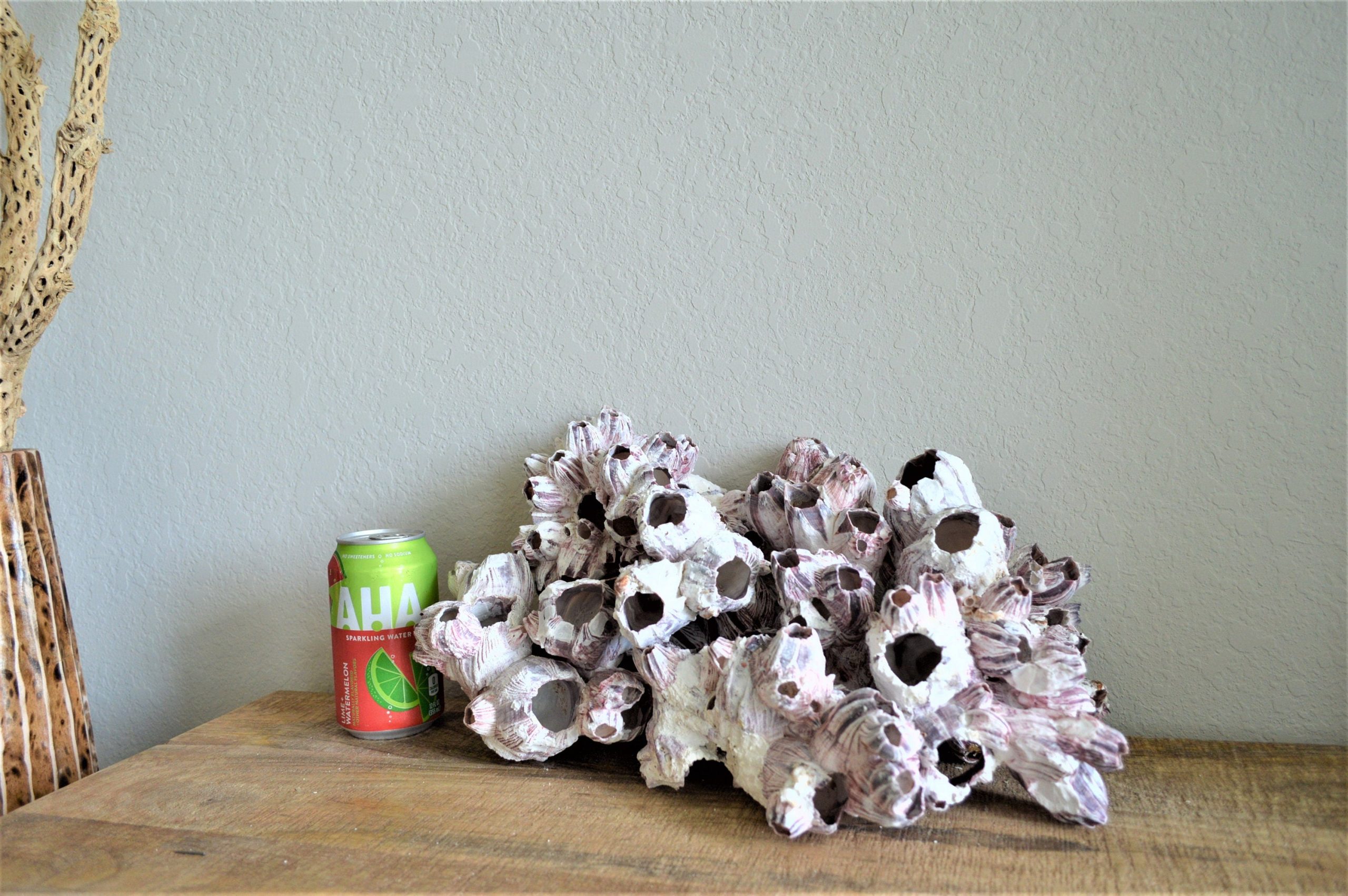 Purple Barnacle Clusters 3-14" *You Choose Size* Coastal Décor Air Planter Holder - Image 7