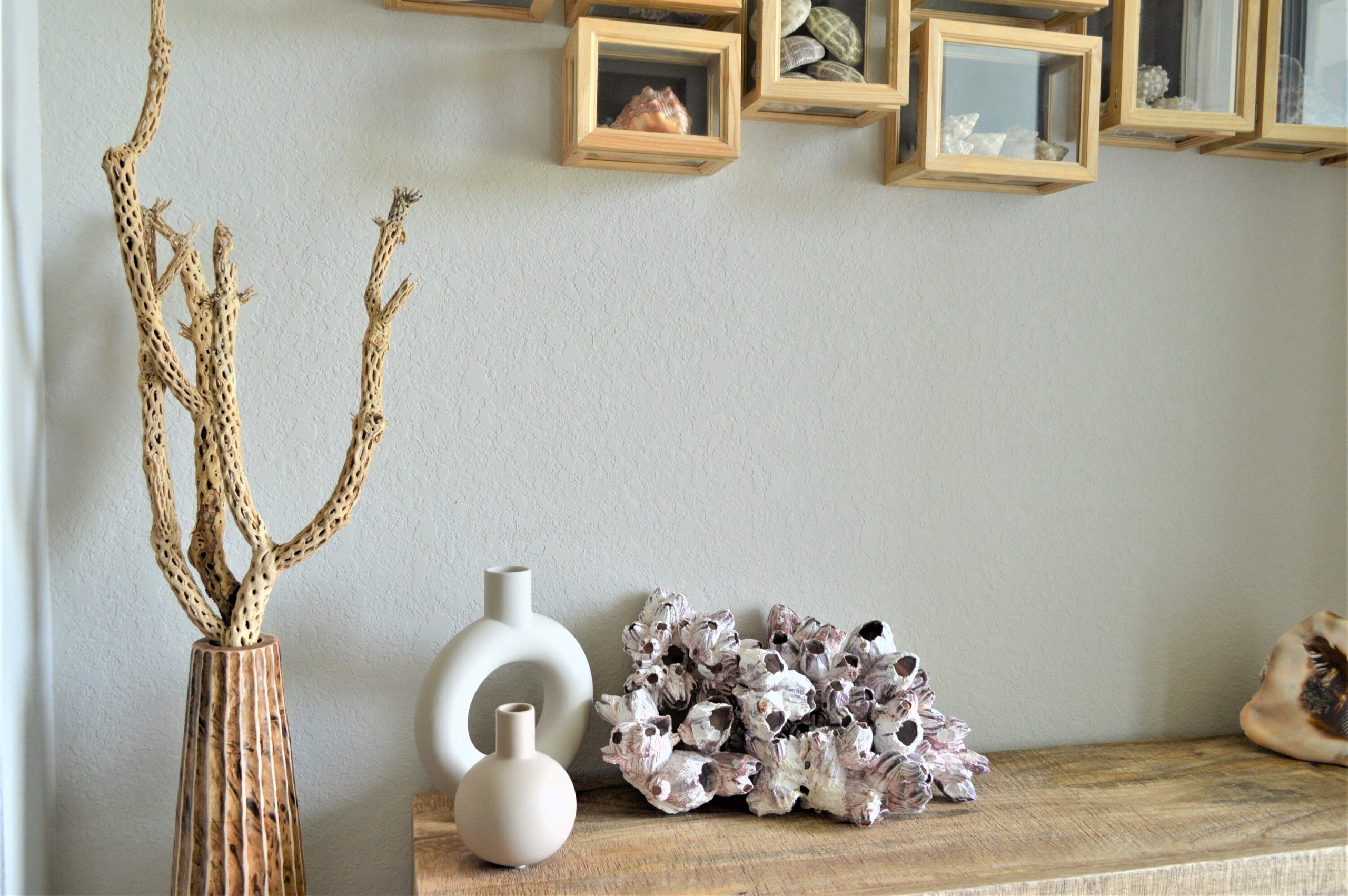 Purple Barnacle Clusters 3-14" *You Choose Size* Coastal Décor Air Planter Holder - Image 4