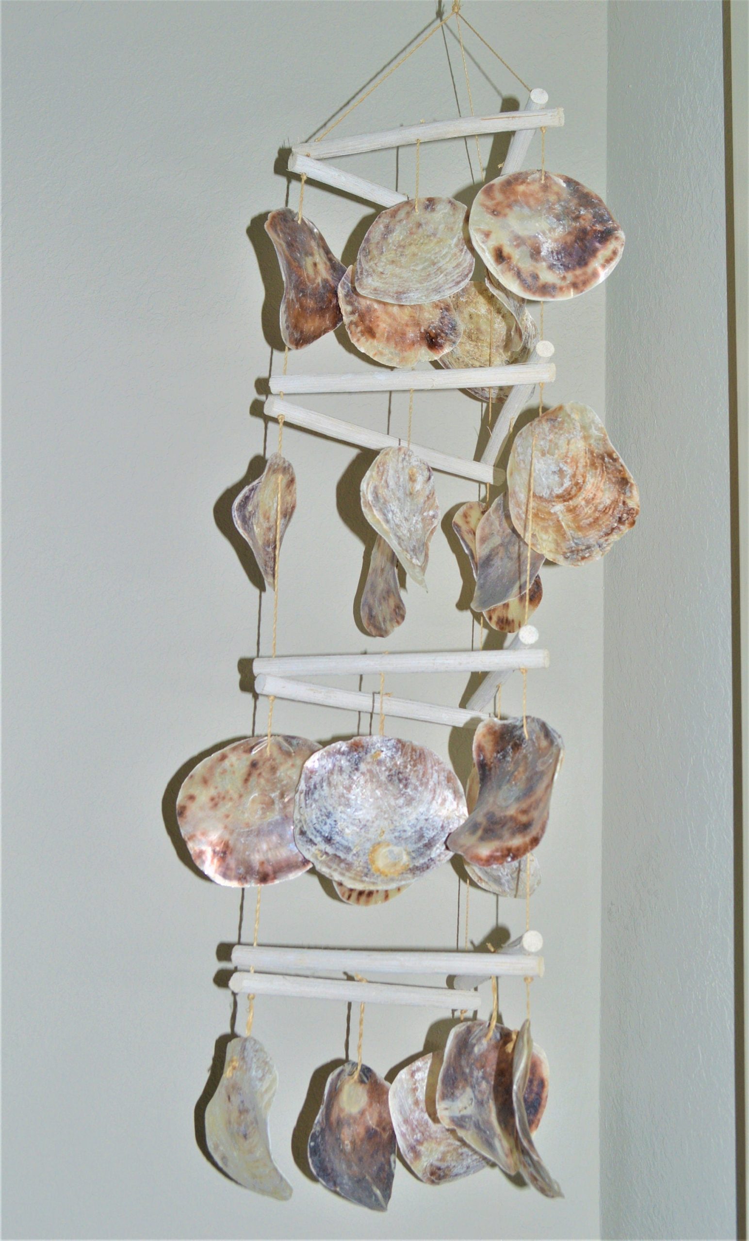 SADDLE OYSTER SHELLS 4-6" Natural Purple Color Craft Seashells Coastal Beach Décor - Image 7