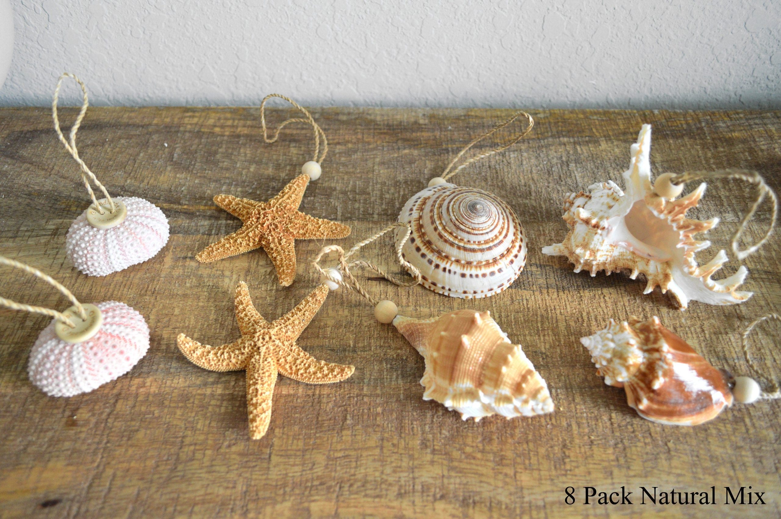 Seashell Ornaments *You choose Type and Quantity* Starfish Sea Shell Urchins Beach Coastal Party - Image 3