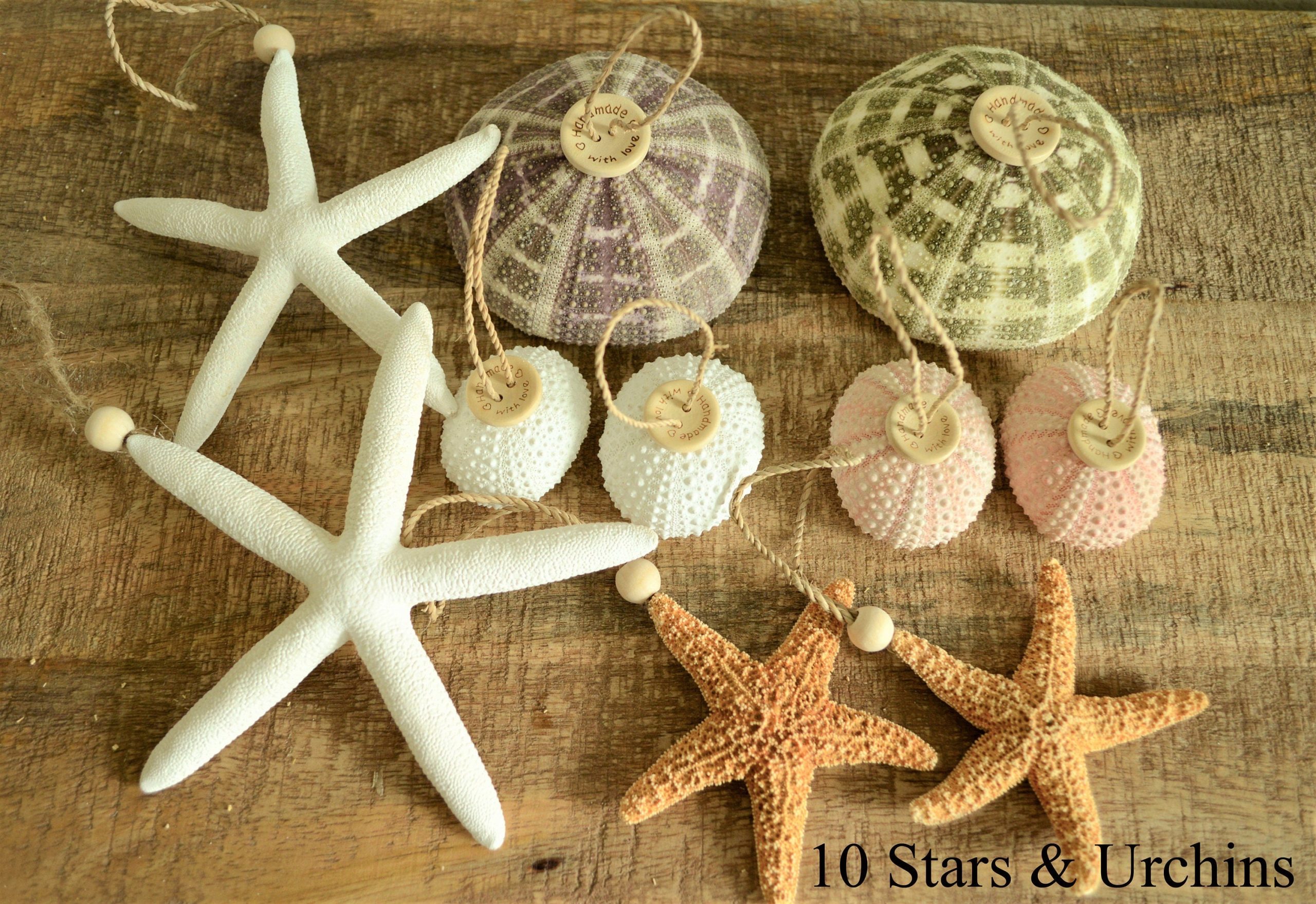 Seashell Ornaments *You choose Type and Quantity* Starfish Sea Shell Urchins Beach Coastal Party - Image 2