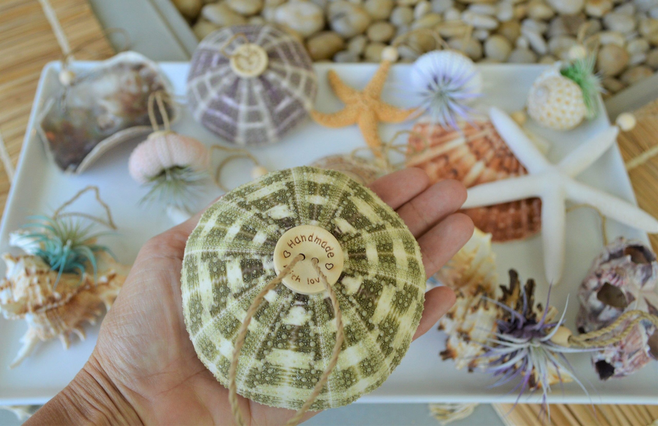 Seashell Ornaments *You choose Type and quantity* Starfish Sea Shell Urchins Beach Coastal Party - Image 5