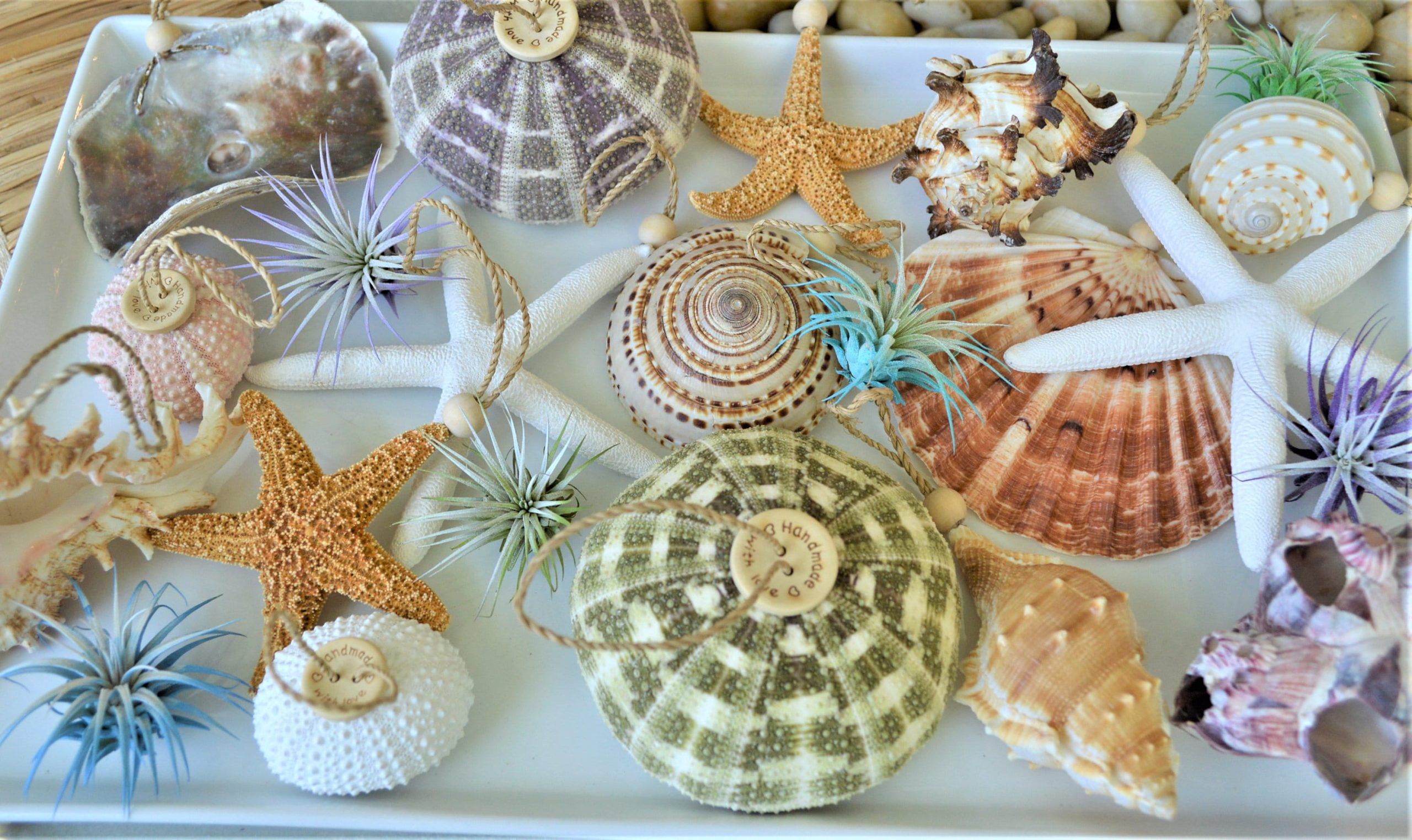 Seashell Ornaments *You choose Type and quantity* Starfish Sea Shell Urchins Beach Coastal Party - Image 2