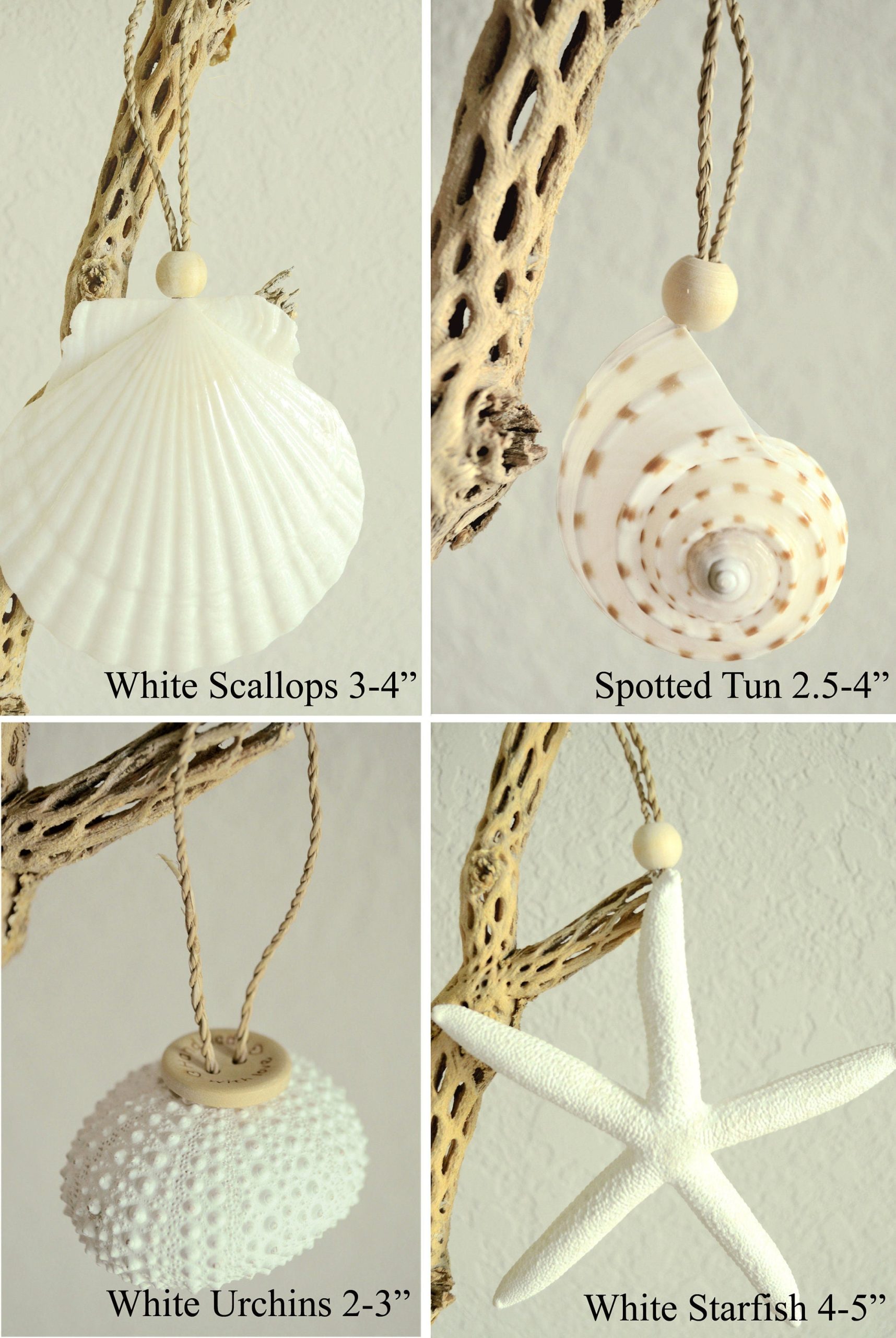 Seashell Ornaments *You choose Type and Quantity* Starfish Sea Shell Urchins Beach Coastal Party - Image 9