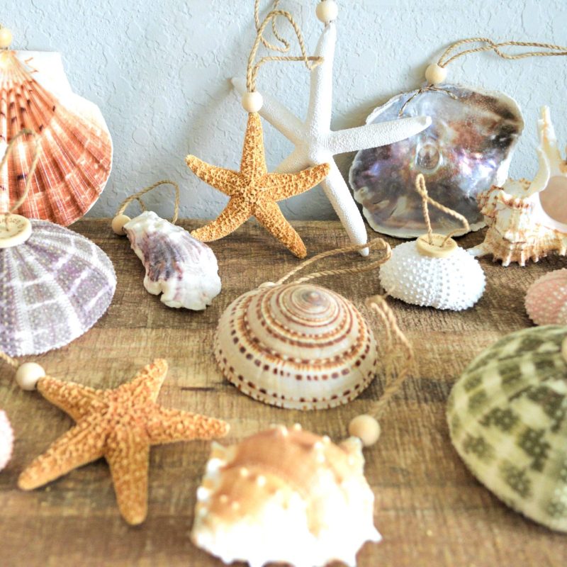 Seashell Ornaments *You choose Type and Quantity* Starfish Sea Shell Urchins Beach Coastal Party