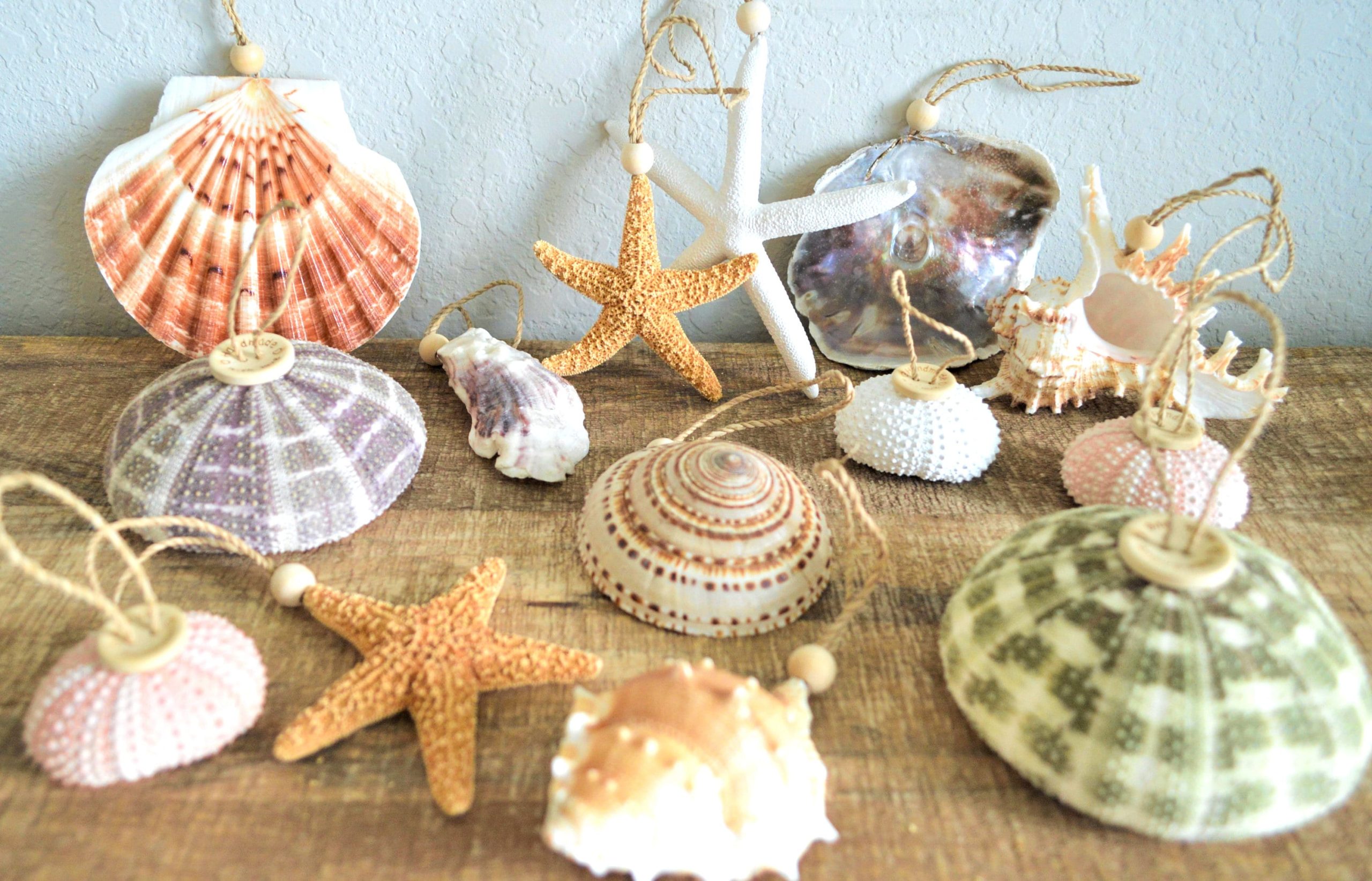 Seashell Ornaments *You choose Type and Quantity* Starfish Sea Shell Urchins Beach Coastal Party