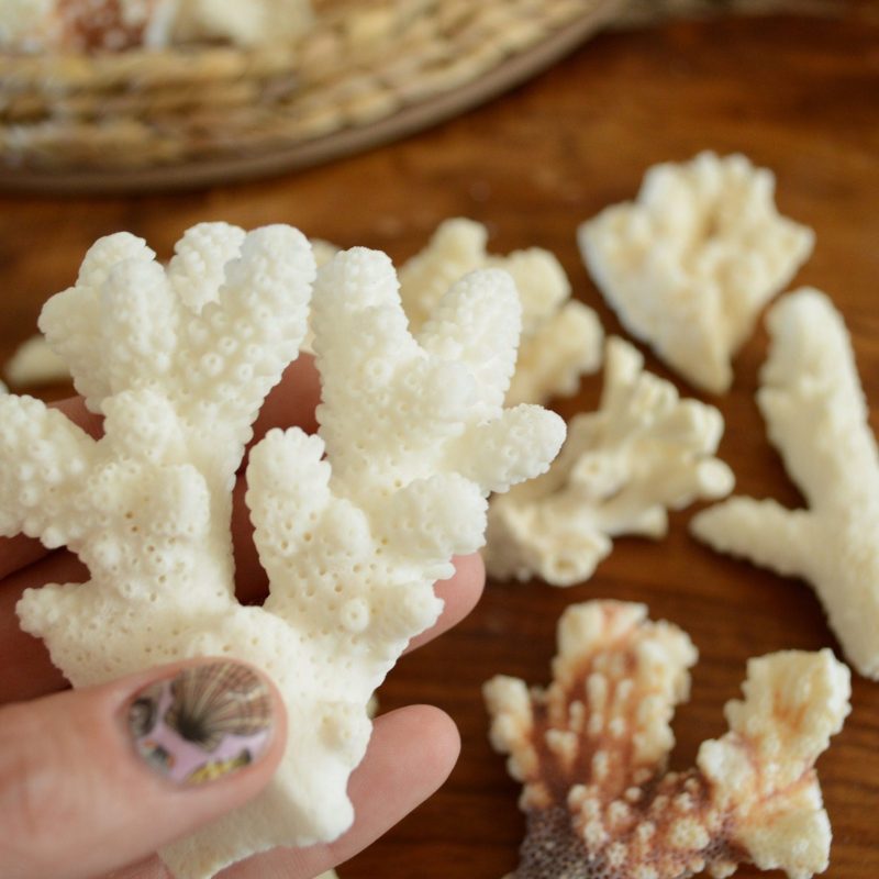 Real Ocean Coral Pieces: 2-4" Coastal Beach Décor, Craft