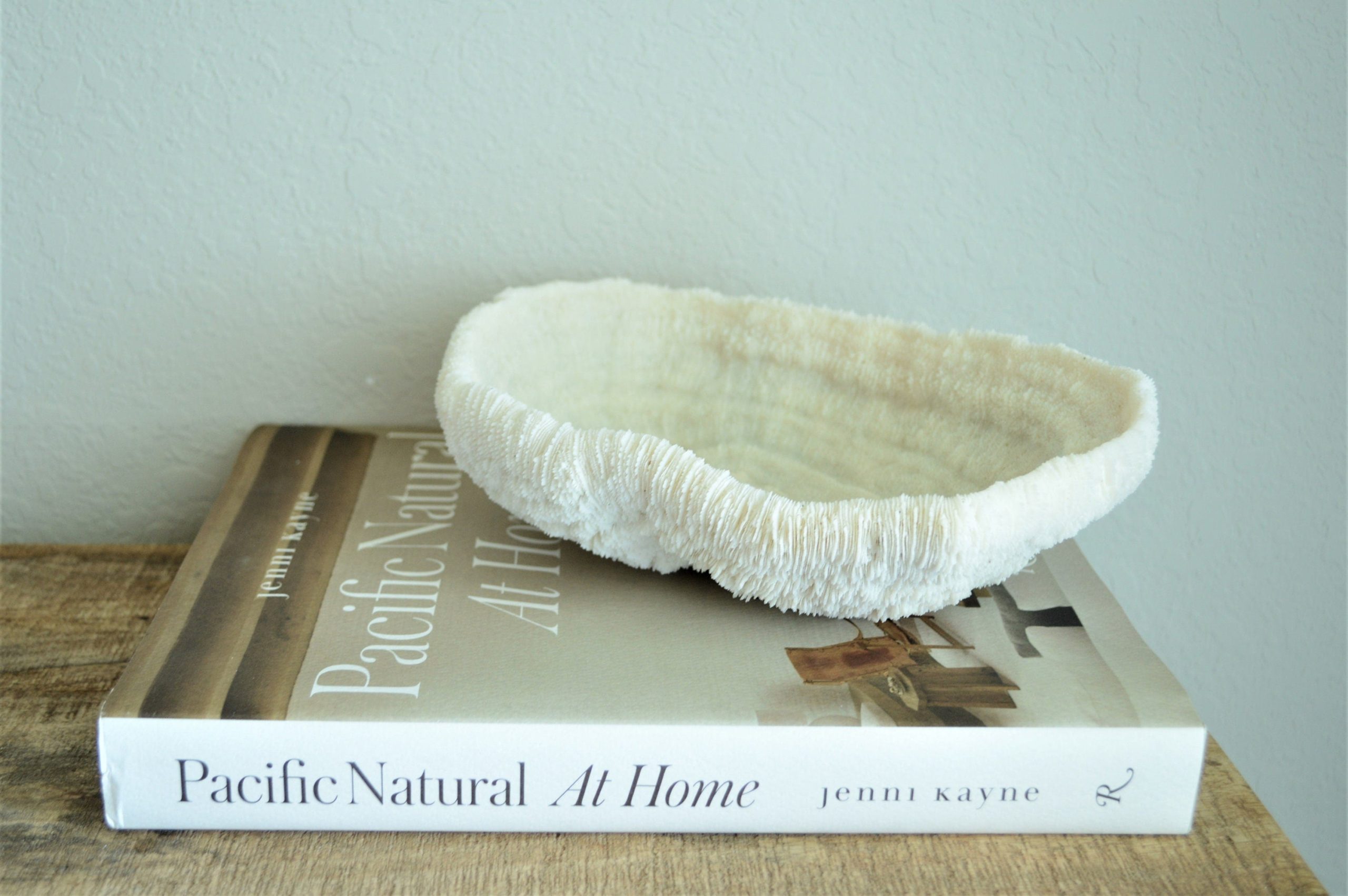 BOWL CORAL White *All Sizes* Authentic Natural Real Sea Fossil Coastal Décor - Image 7