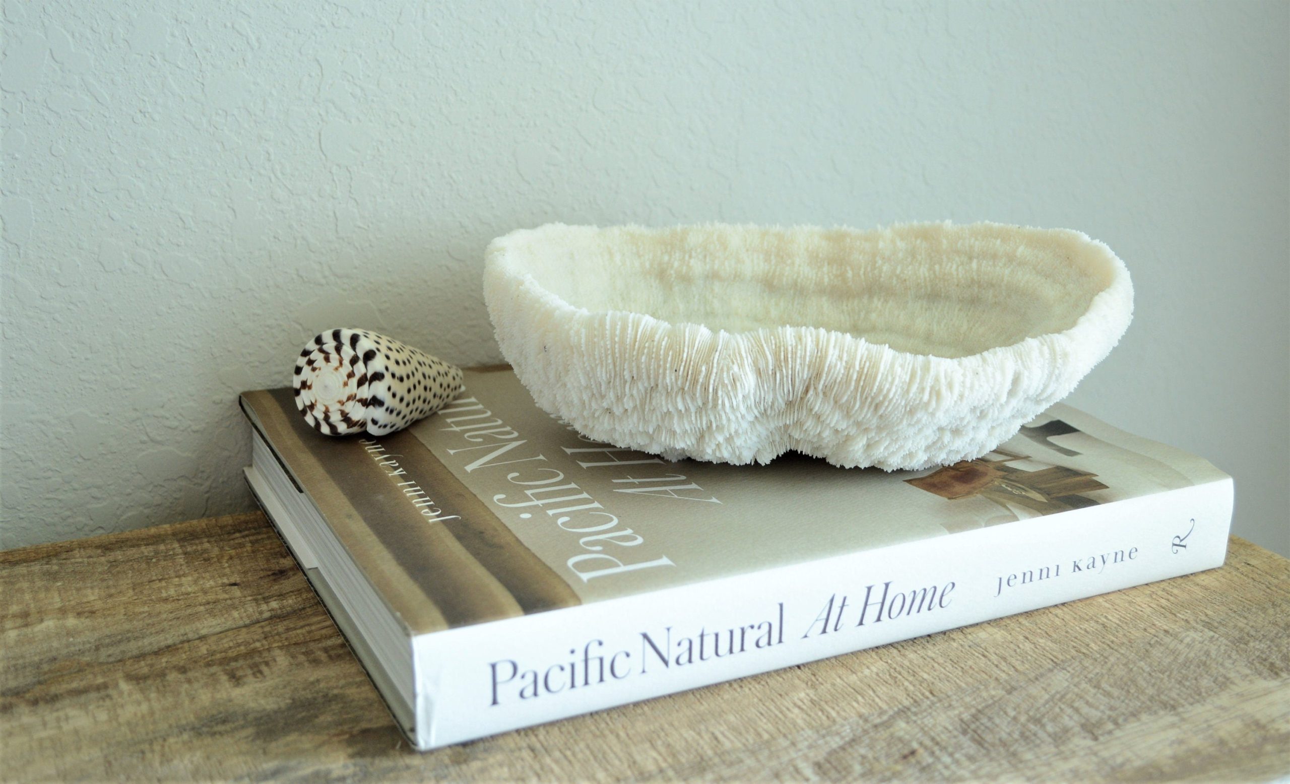 BOWL CORAL White *All Sizes* Authentic Natural Real Sea Fossil Coastal Décor - Image 3