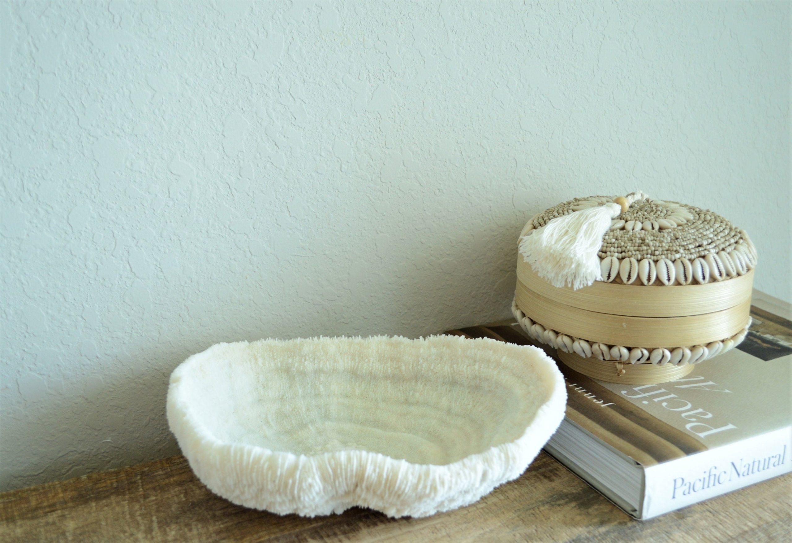 BOWL CORAL White *All Sizes* Authentic Natural Real Sea Fossil Coastal Décor - Image 4