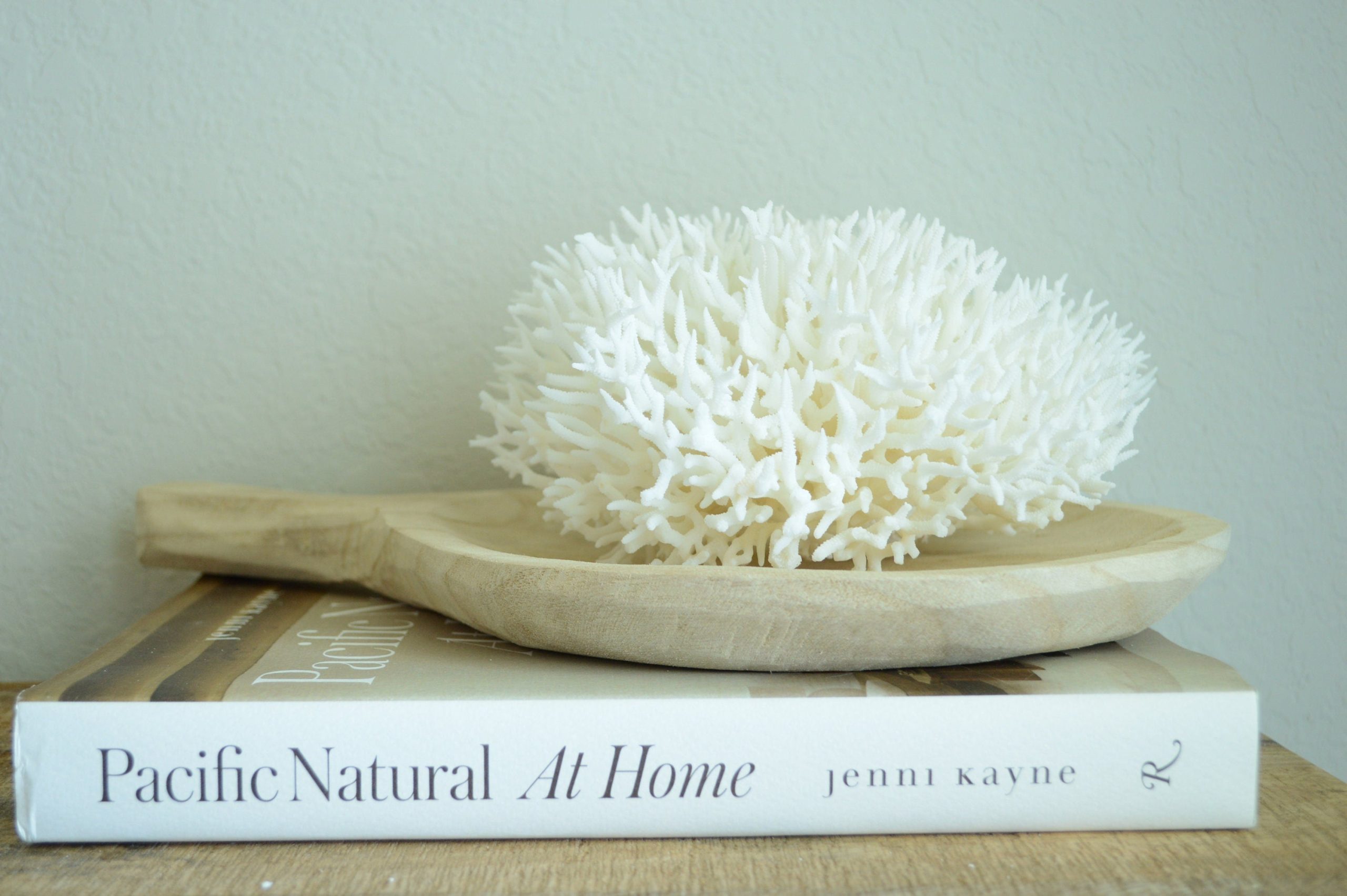 BIRDSNEST Coral White *All Sizes* Authentic Natural Real Sea Fossil Coastal Décor - Image 3