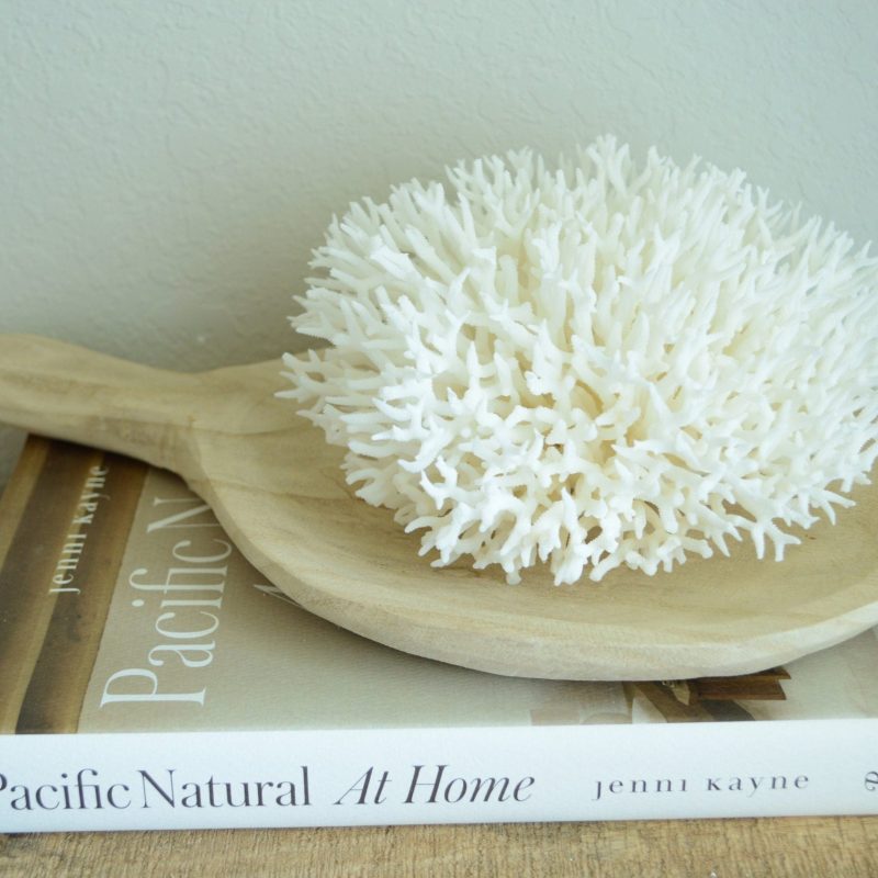 BIRDSNEST Coral White *All Sizes* Authentic Natural Real Sea Fossil Coastal Décor
