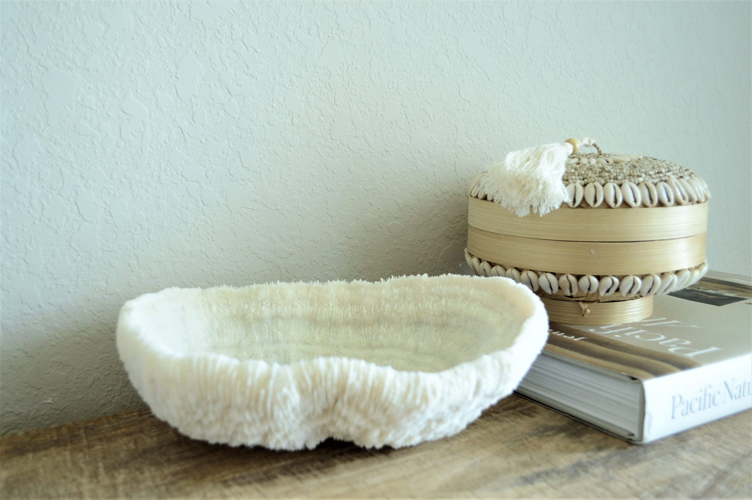 BOWL CORAL White *All Sizes* Authentic Natural Real Sea Fossil Coastal Décor - Image 2