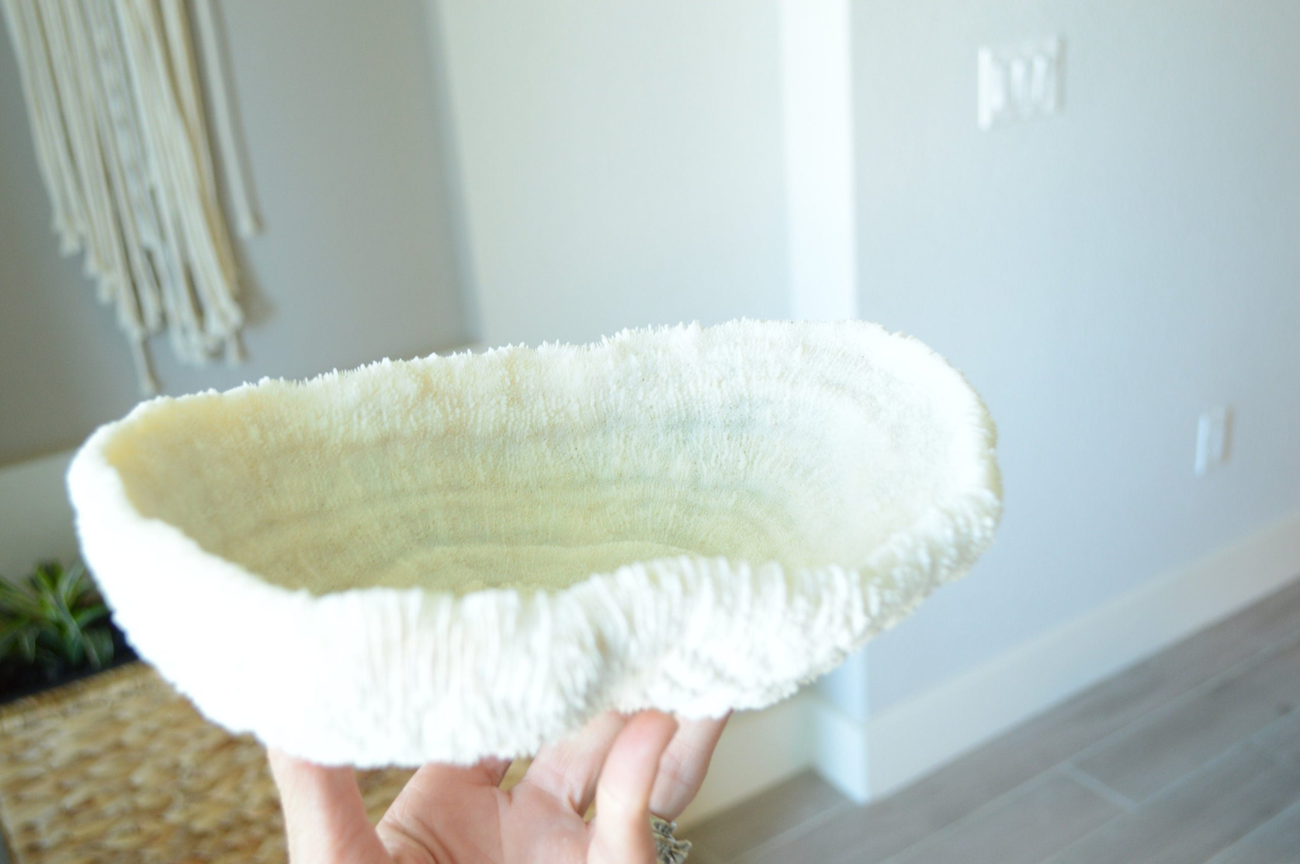 BOWL CORAL White *All Sizes* Authentic Natural Real Sea Fossil Coastal Décor - Image 10