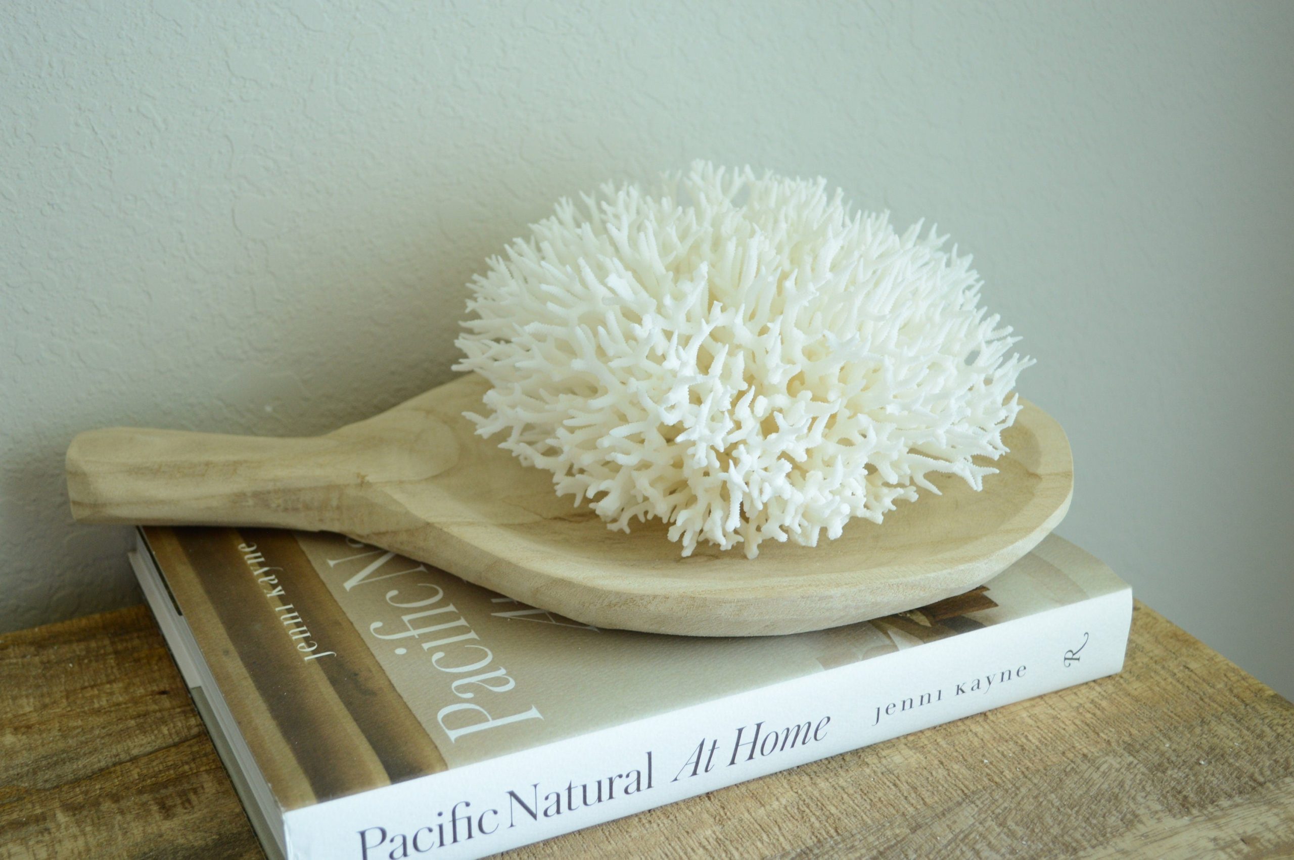 BIRDSNEST Coral White *All Sizes* Authentic Natural Real Sea Fossil Coastal Décor - Image 7