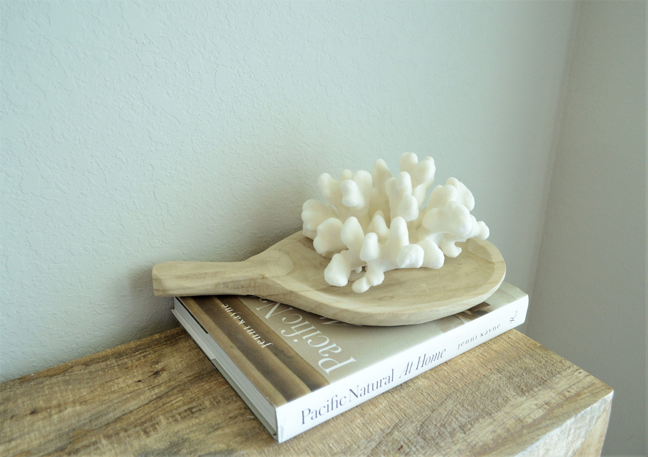 CATS PAW CORAL White *All Sizes* Authentic Natural Real Sea Fossil Coastal Décor - Image 4