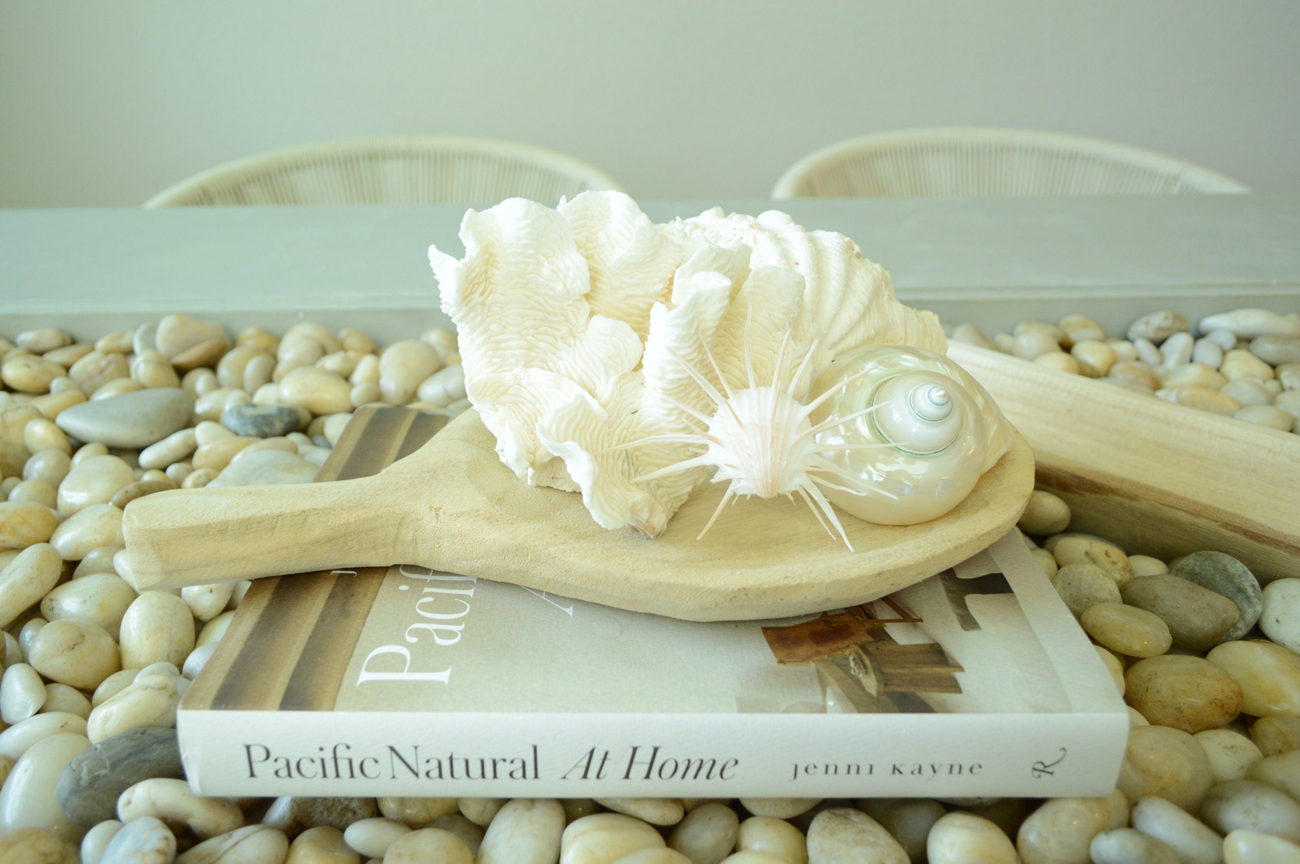 PEARLED TURBO SHELLS *All Sizes* Natural Irredescent Polished Seashell Hermit Crab Beach Décor - Image 9