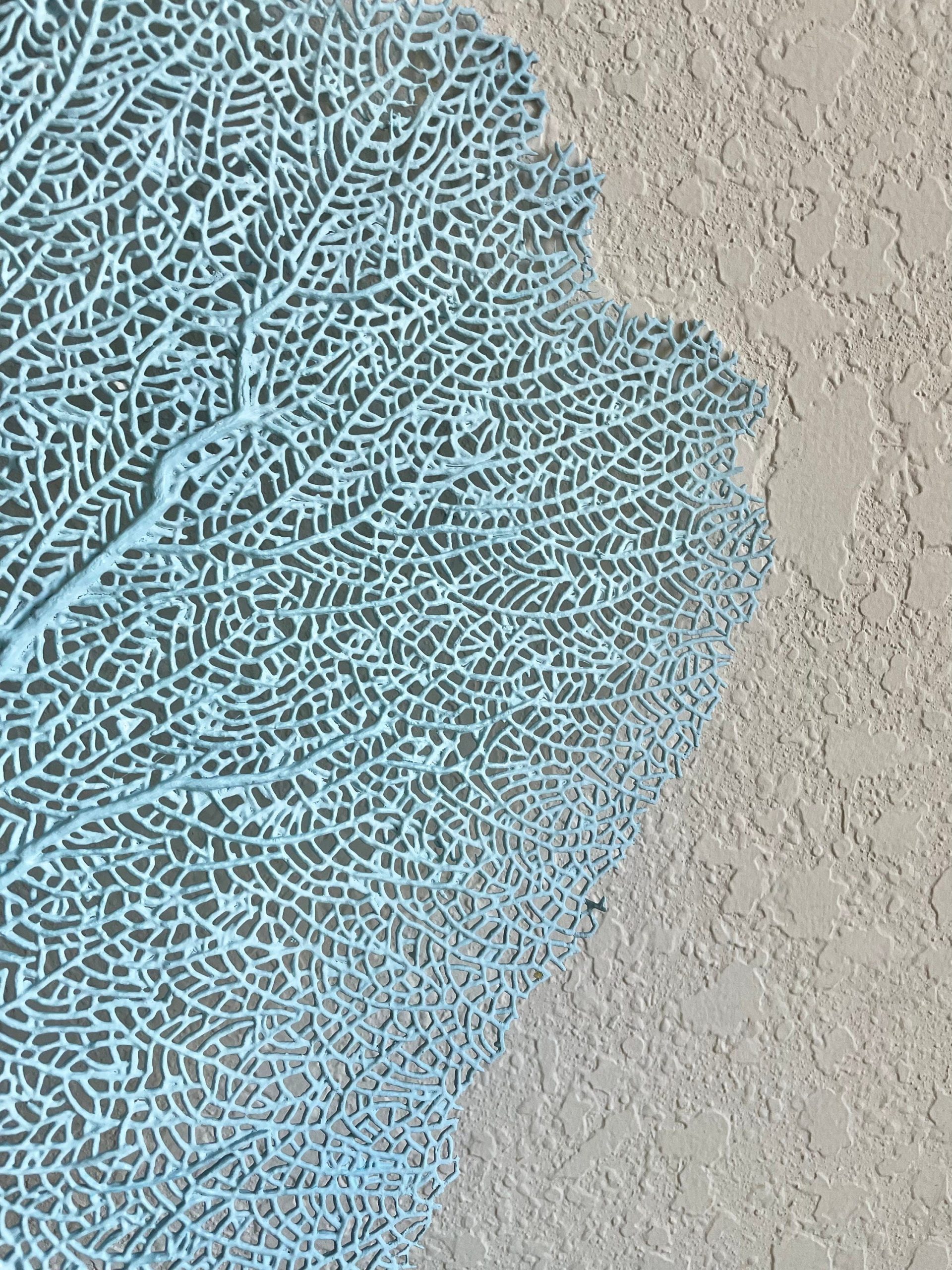 Light Blue Sea Fan (8-20") *You Choose Size* Natural Hand Painted Coastal Décor - Image 5