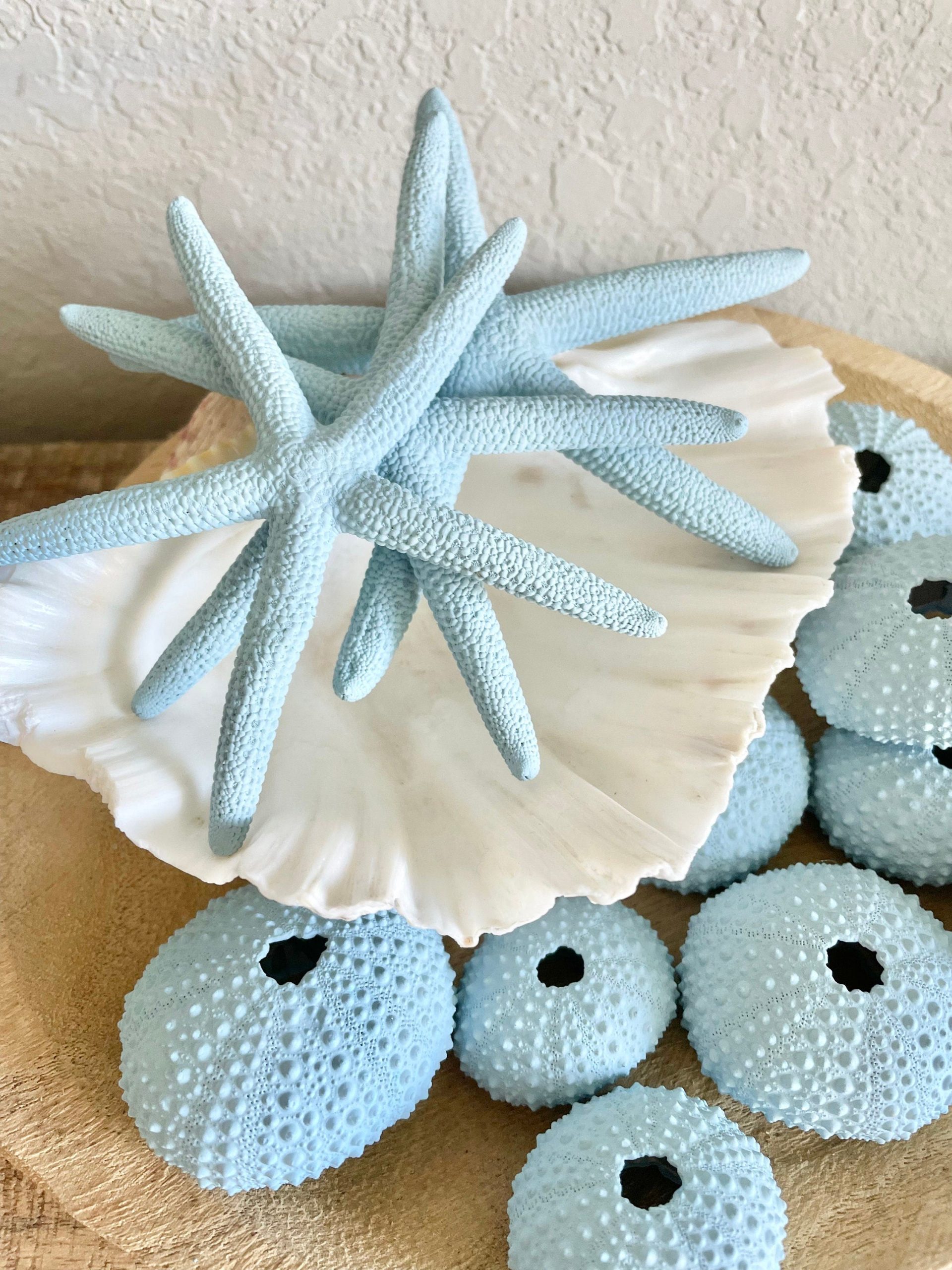 Light Blue Sea Fan (8-20") *You Choose Size* Natural Hand Painted Coastal Décor - Image 7