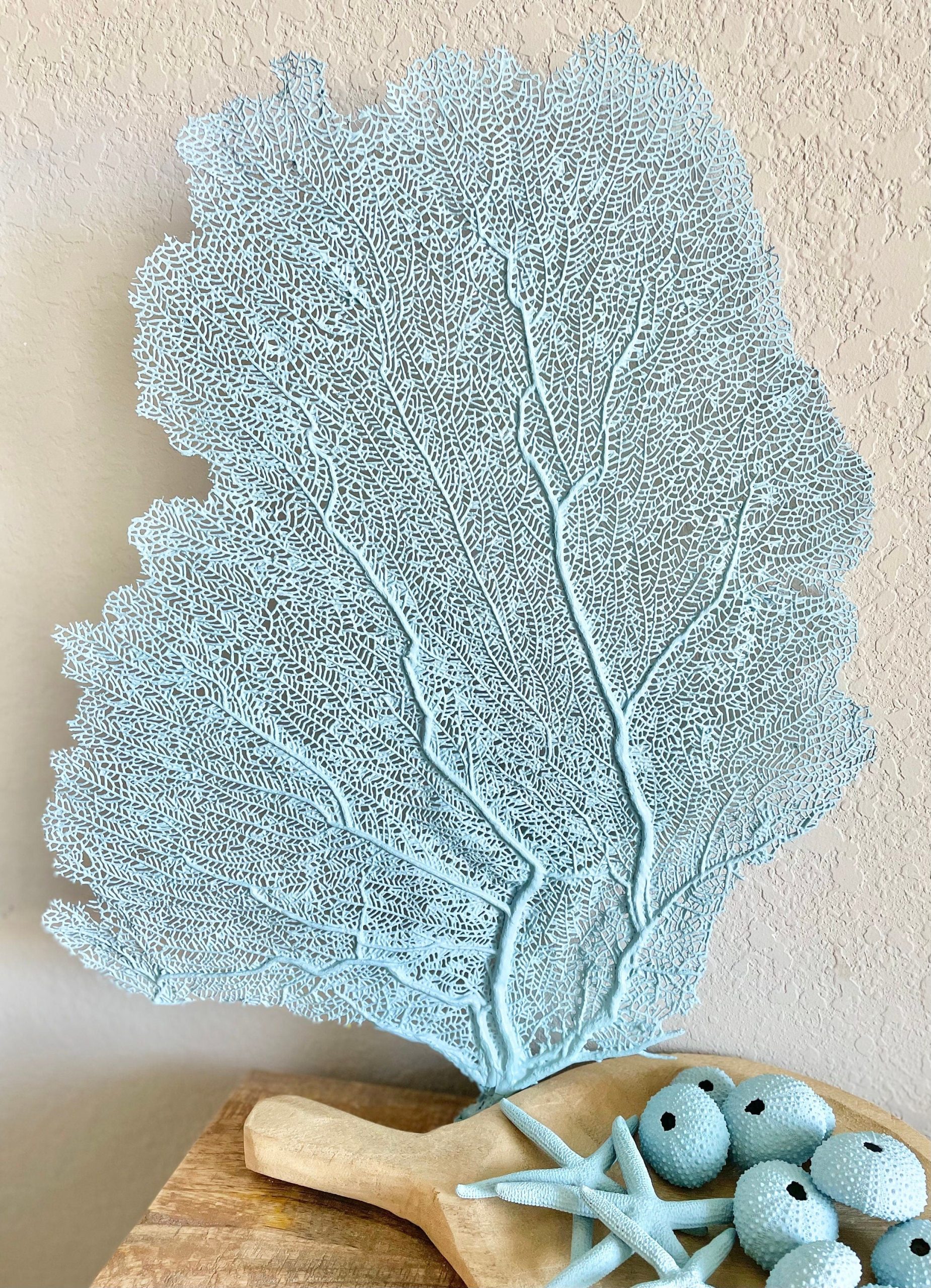 Light Blue Sea Fan (8-20") *You Choose Size* Natural Hand Painted Coastal Décor - Image 10
