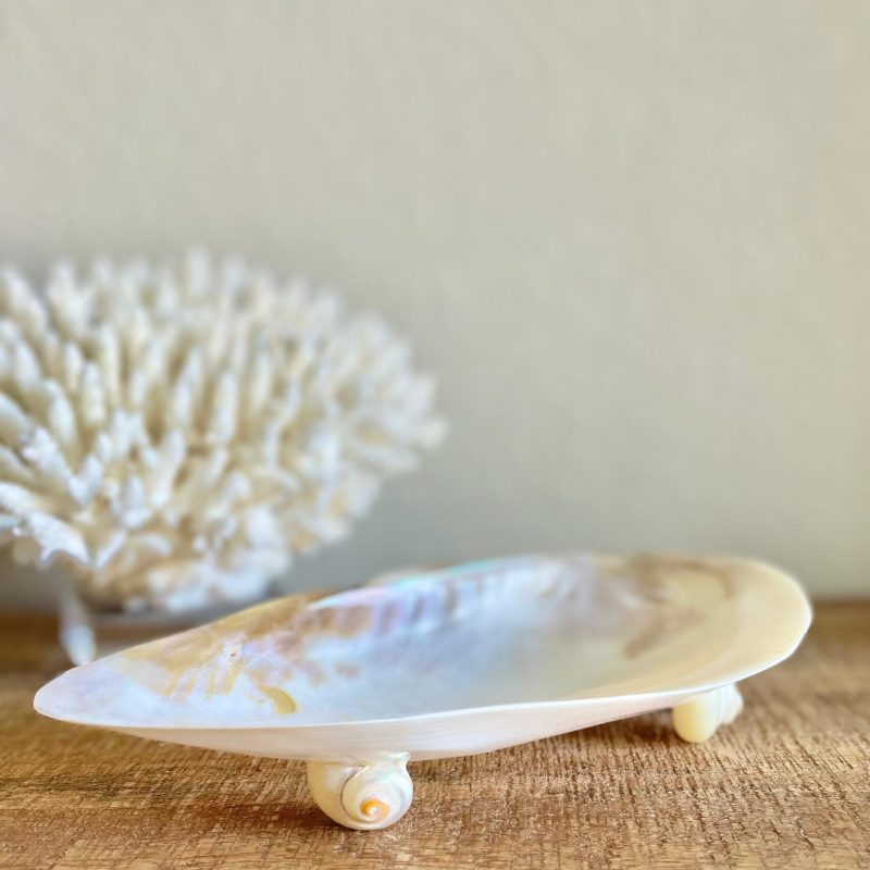 Mother of Pearl Footed Mussel Dish 7-8" Iridescent Seashell, Coastal Décor