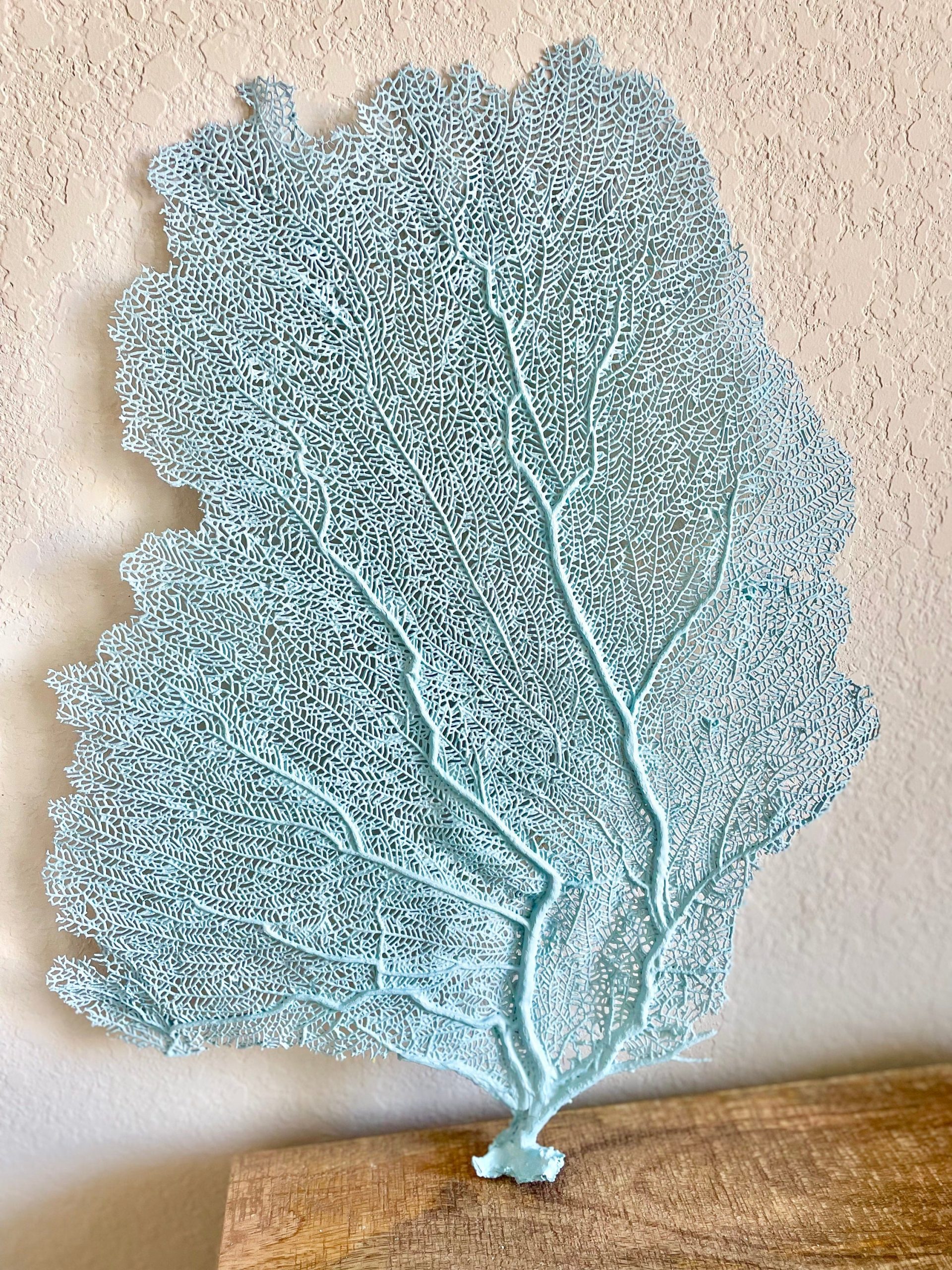 Light Blue Sea Fan (8-20") *You Choose Size* Natural Hand Painted Coastal Décor - Image 3