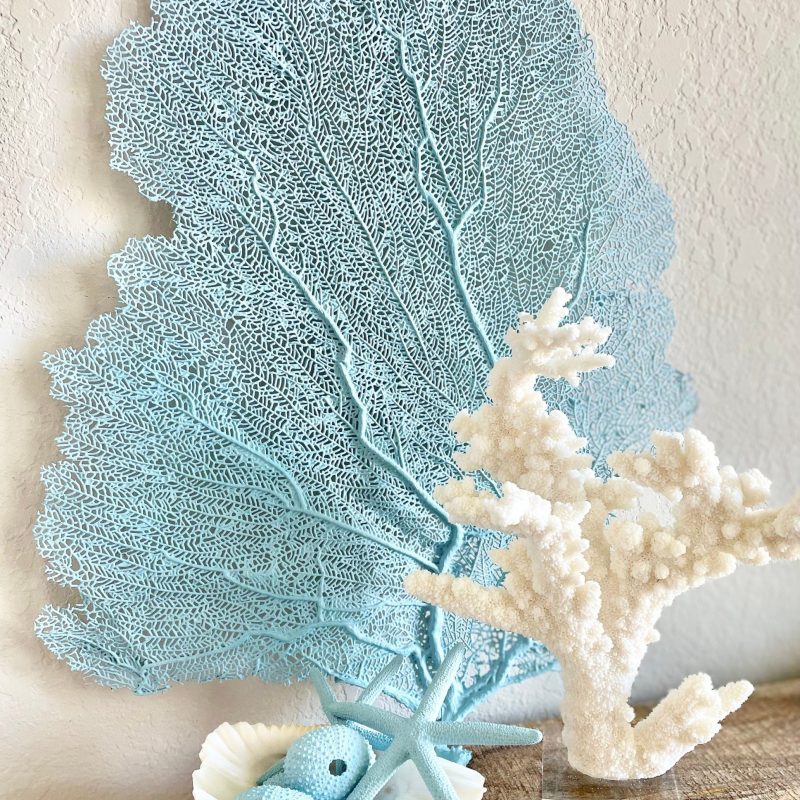Light Blue Sea Fan (8-20") *You Choose Size* Natural Hand Painted Coastal Décor