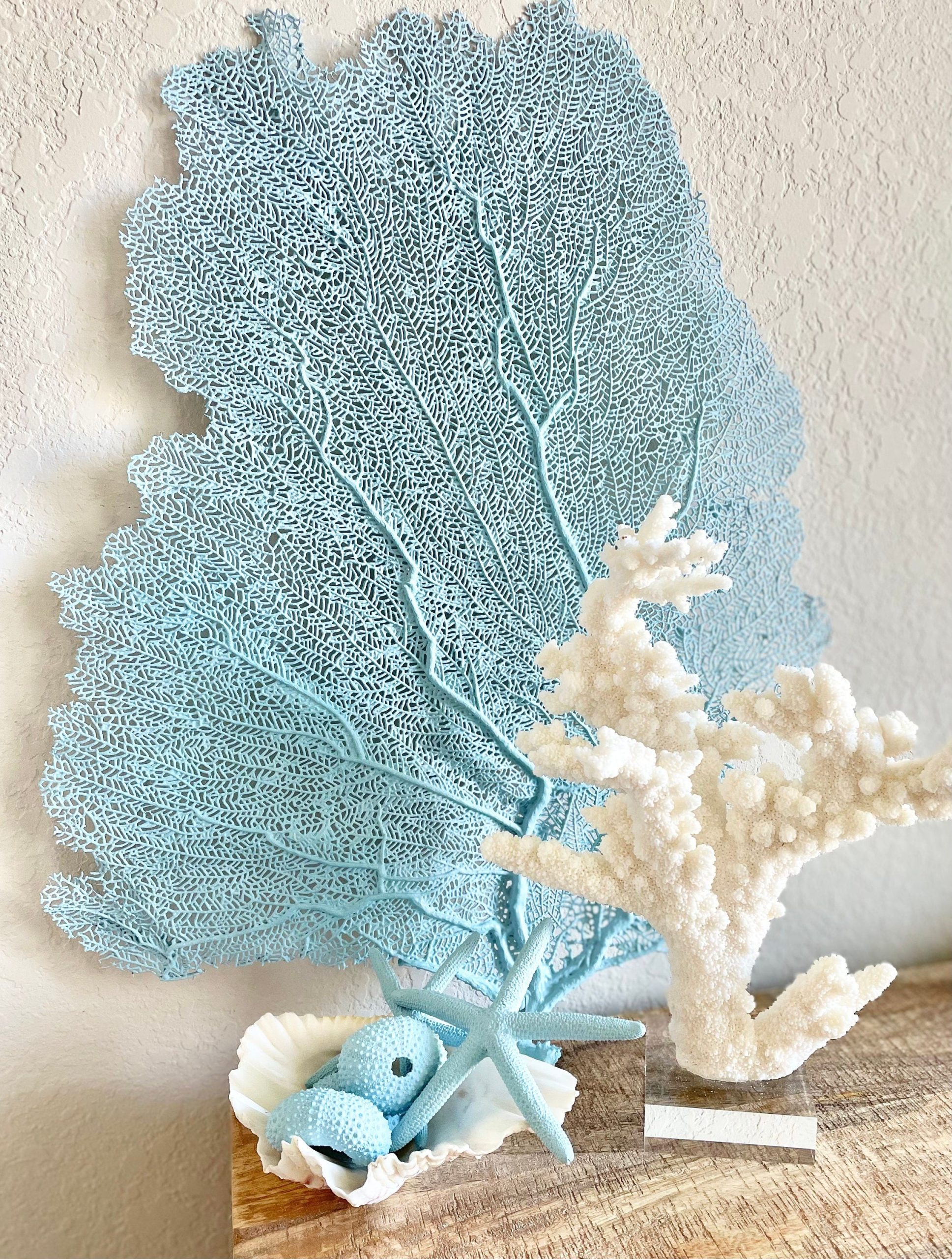 Light Blue Sea Fan (8-20") *You Choose Size* Natural Hand Painted Coastal Décor