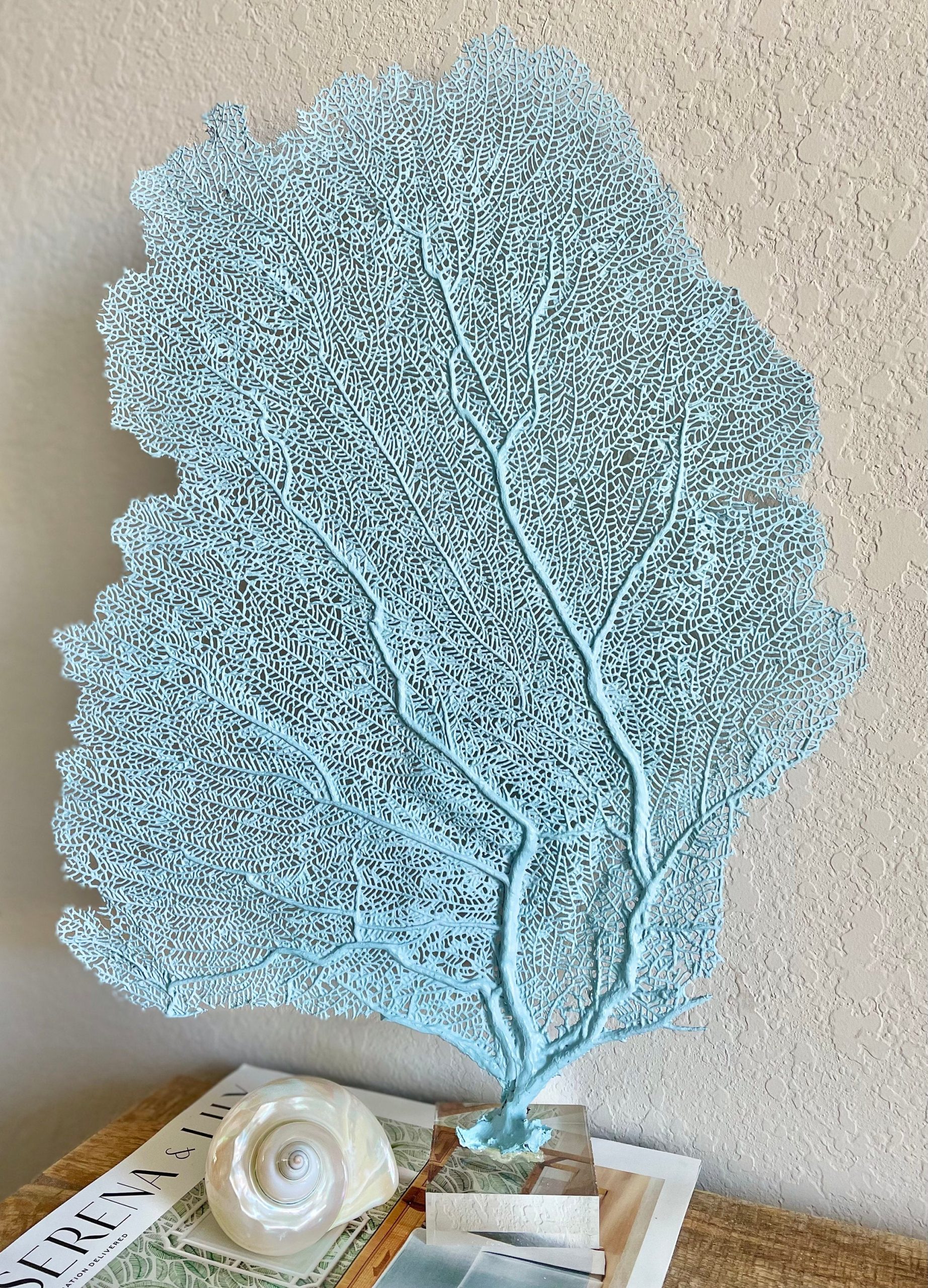 Light Blue Sea Fan (8-20") *You Choose Size* Natural Hand Painted Coastal Décor - Image 2