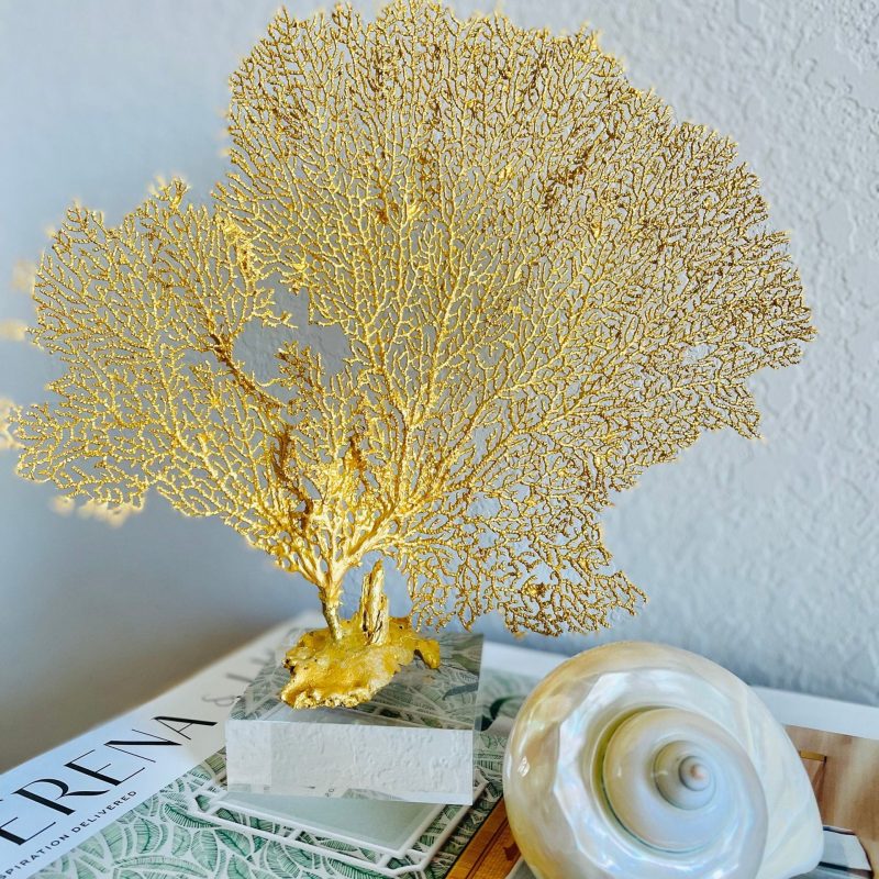 Gold Sea Fan (8-20") *You Choose Size* Natural Hand Painted Coastal Décor