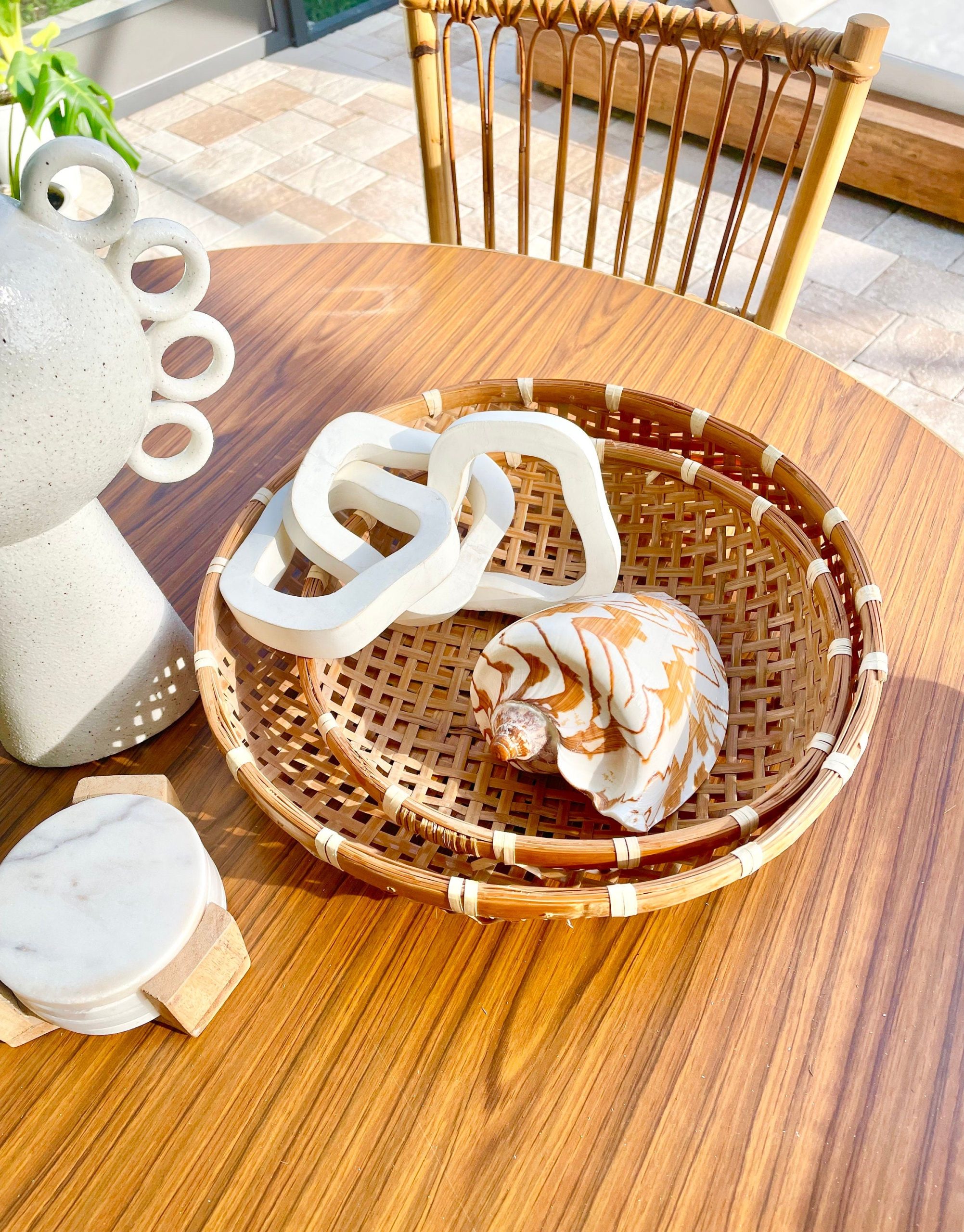 STRIPED NOBLE VOLUTE Shell *All Sizes* Natural Polished Beige Brown Seashell Coastal Décor - Image 10