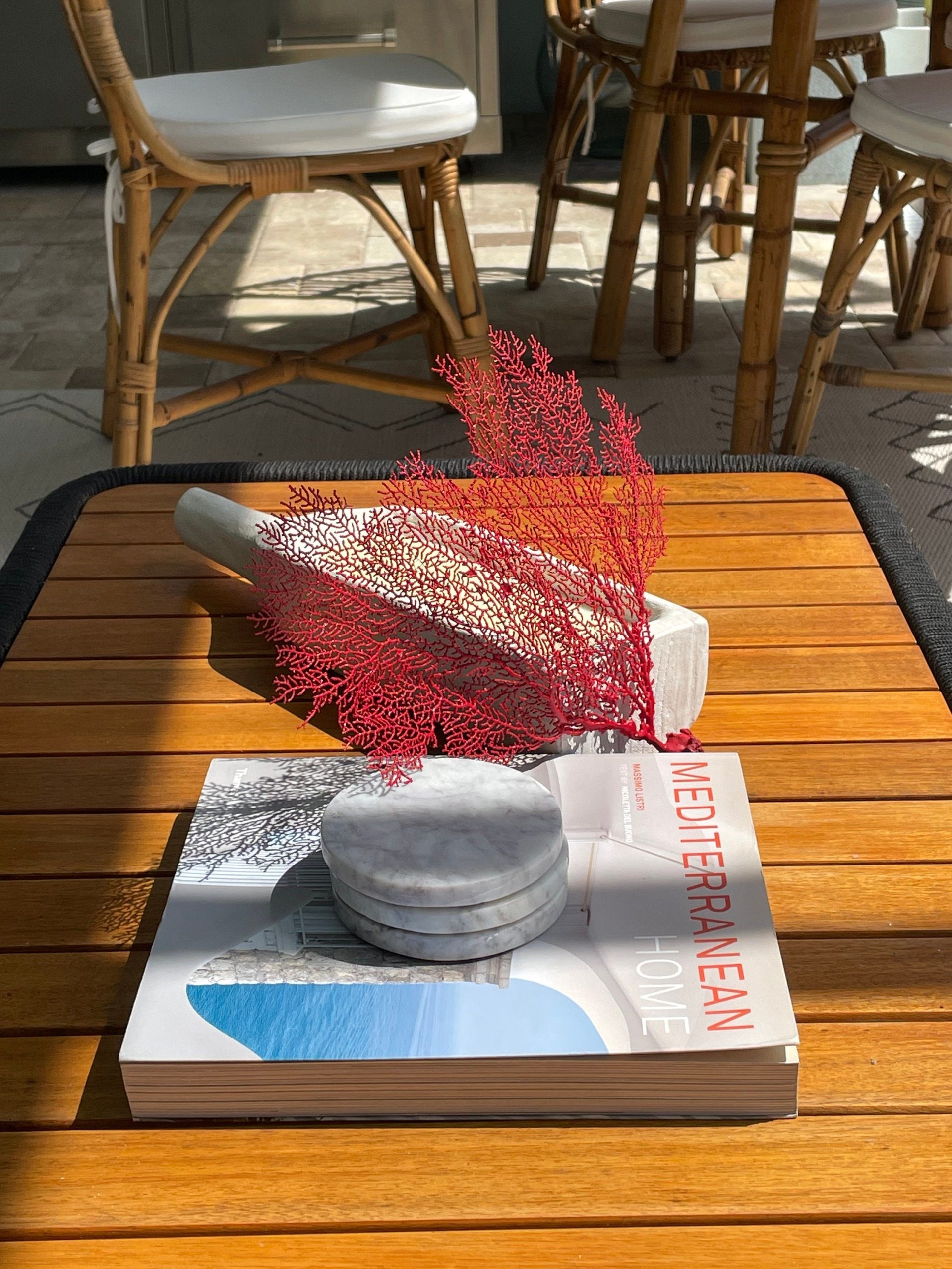 Red Sea Fan (8-20") *You Choose Size* Natural Hand Painted Coastal Décor - Image 5