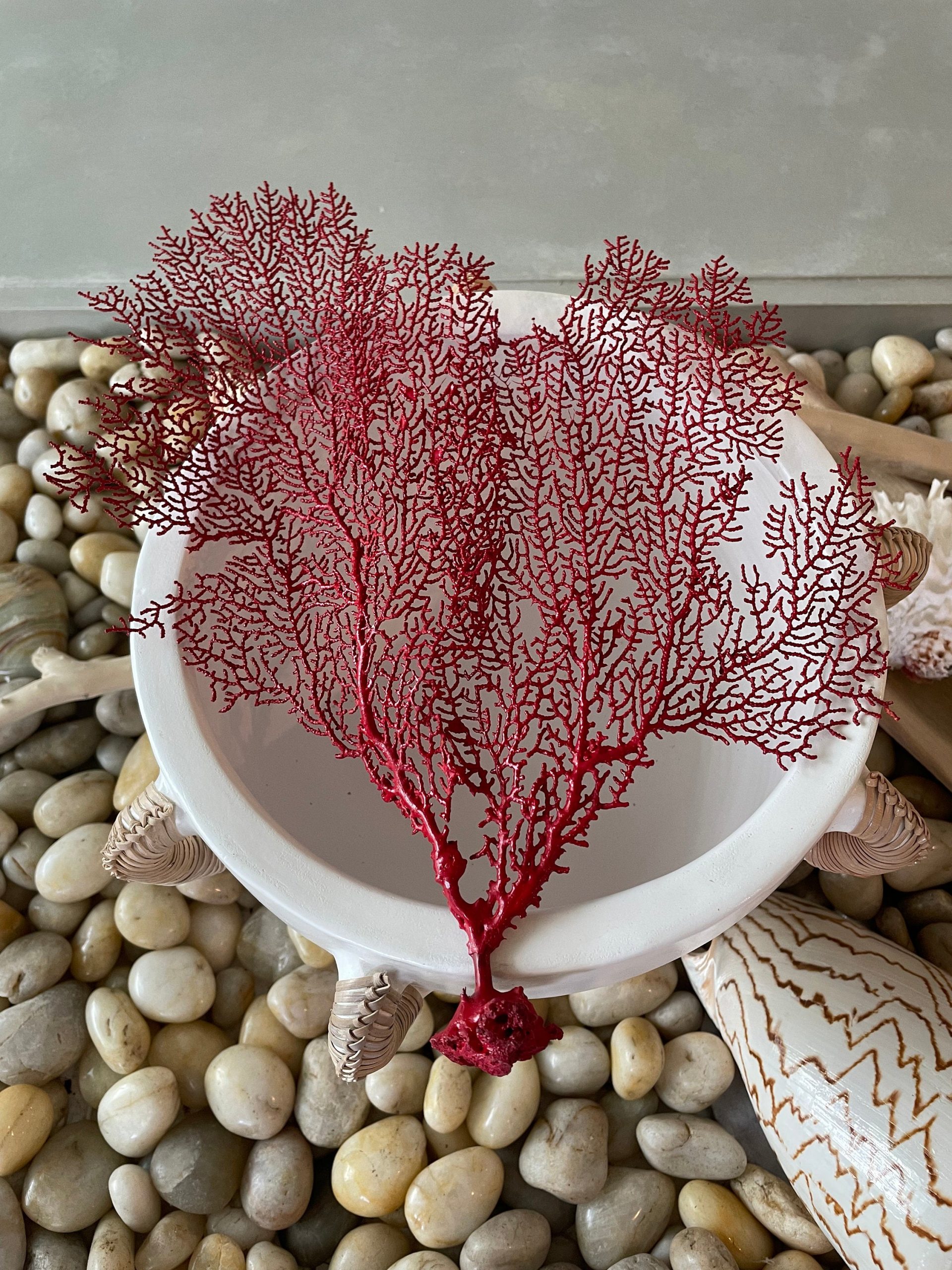 Red Sea Fan (8-20") *You Choose Size* Natural Hand Painted Coastal Décor - Image 8