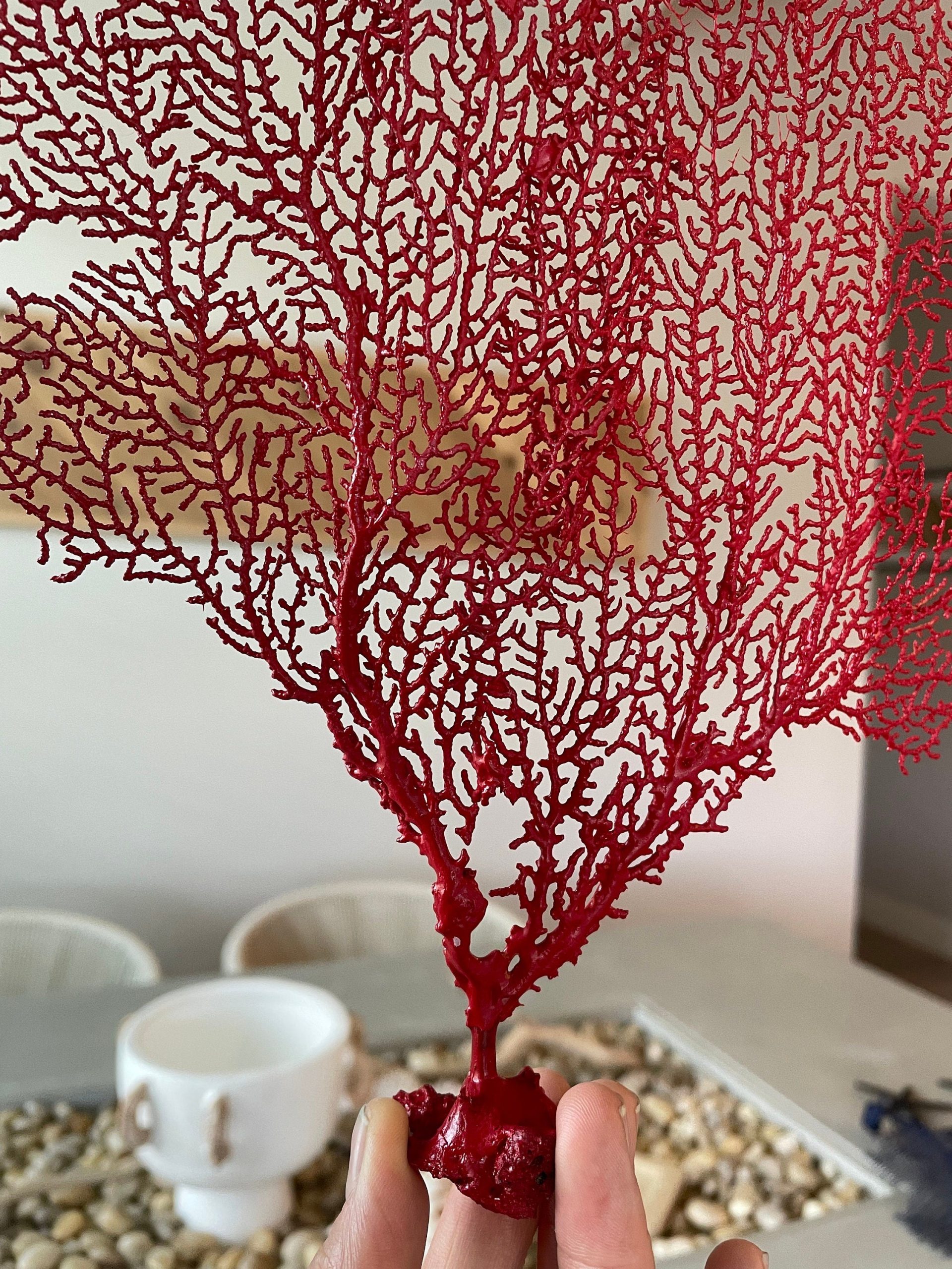 Red Sea Fan (8-20") *You Choose Size* Natural Hand Painted Coastal Décor - Image 9