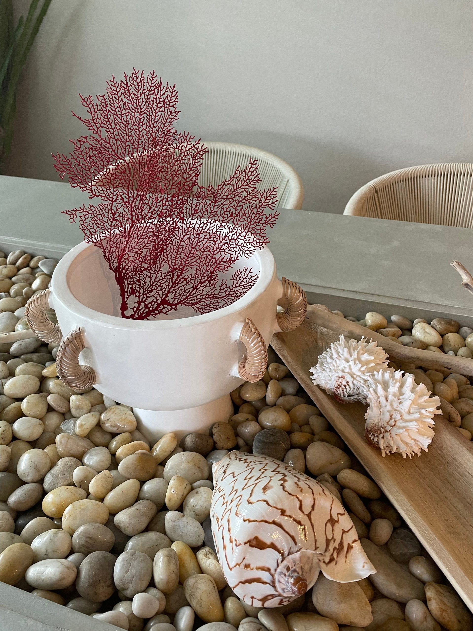 Red Sea Fan (8-20") *You Choose Size* Natural Hand Painted Coastal Décor - Image 3