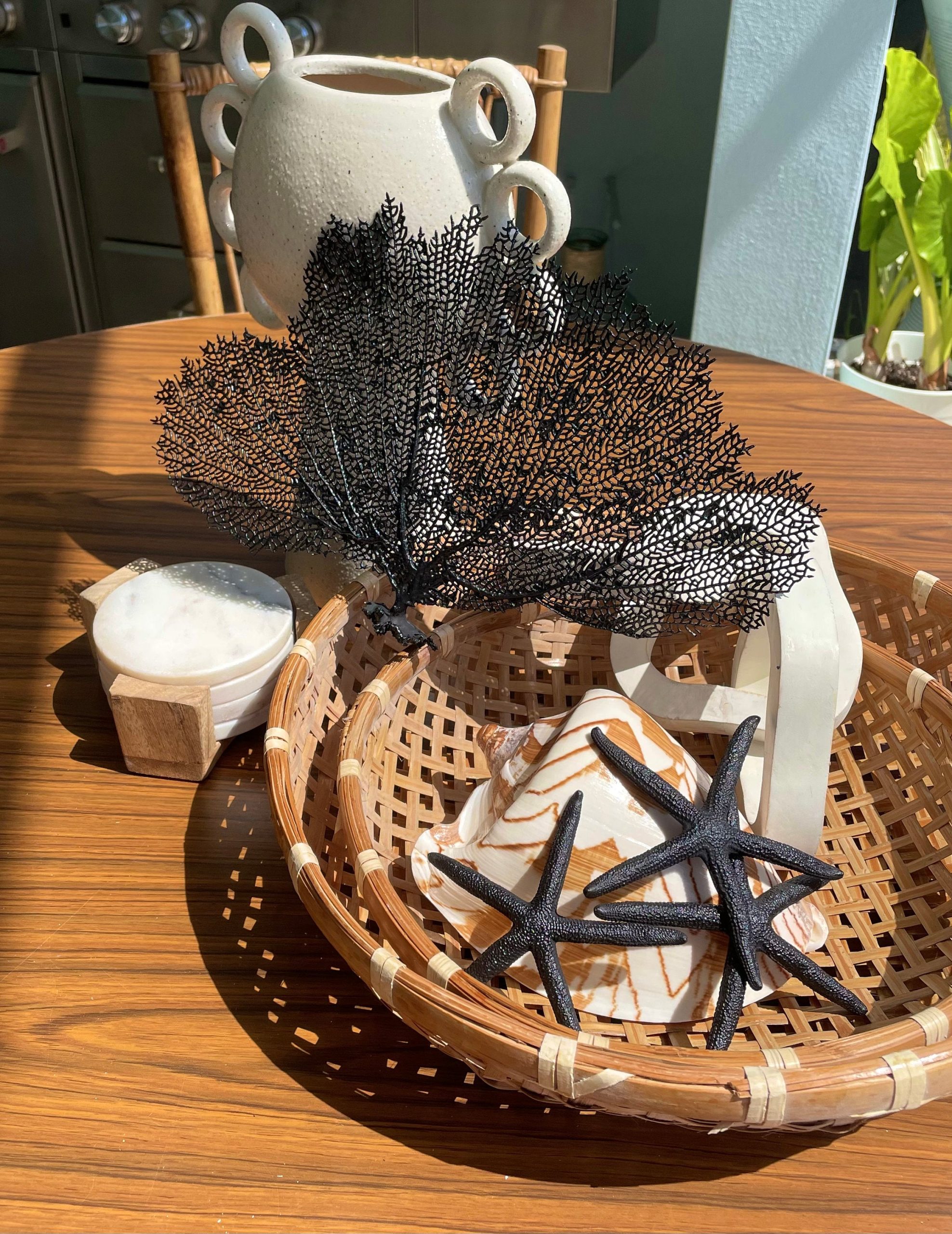Black Sea Fan (8-20") *You Choose Size* Natural Hand Painted Coastal Décor - Image 7