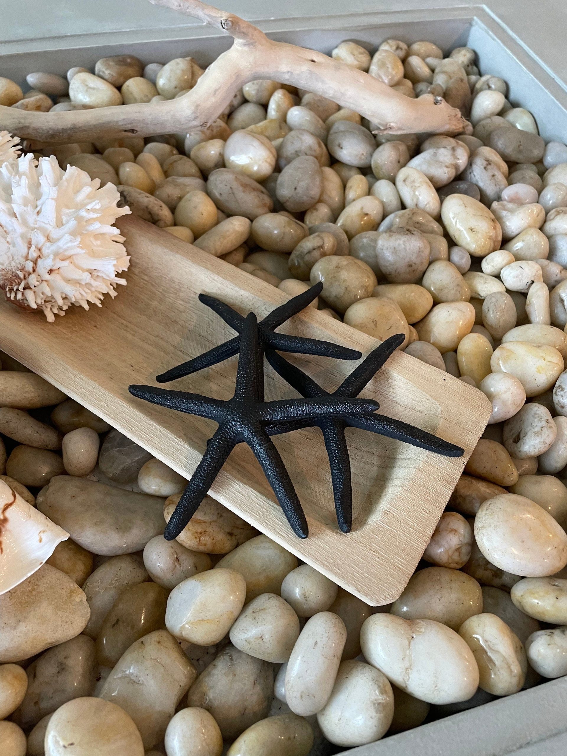 Black Sea Fan (8-20") *You Choose Size* Natural Hand Painted Coastal Décor - Image 6