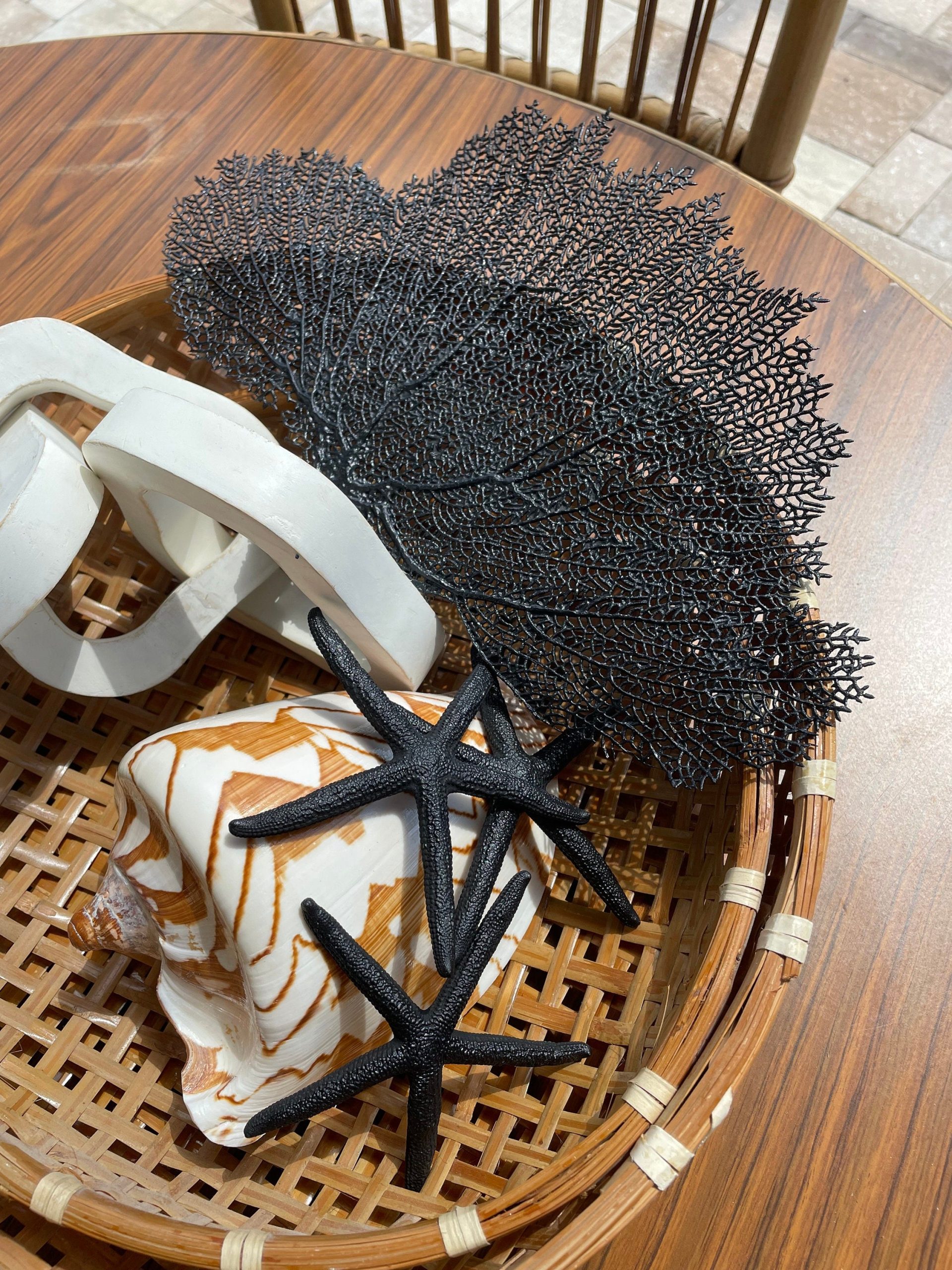 Black Sea Fan (8-20") *You Choose Size* Natural Hand Painted Coastal Décor - Image 4