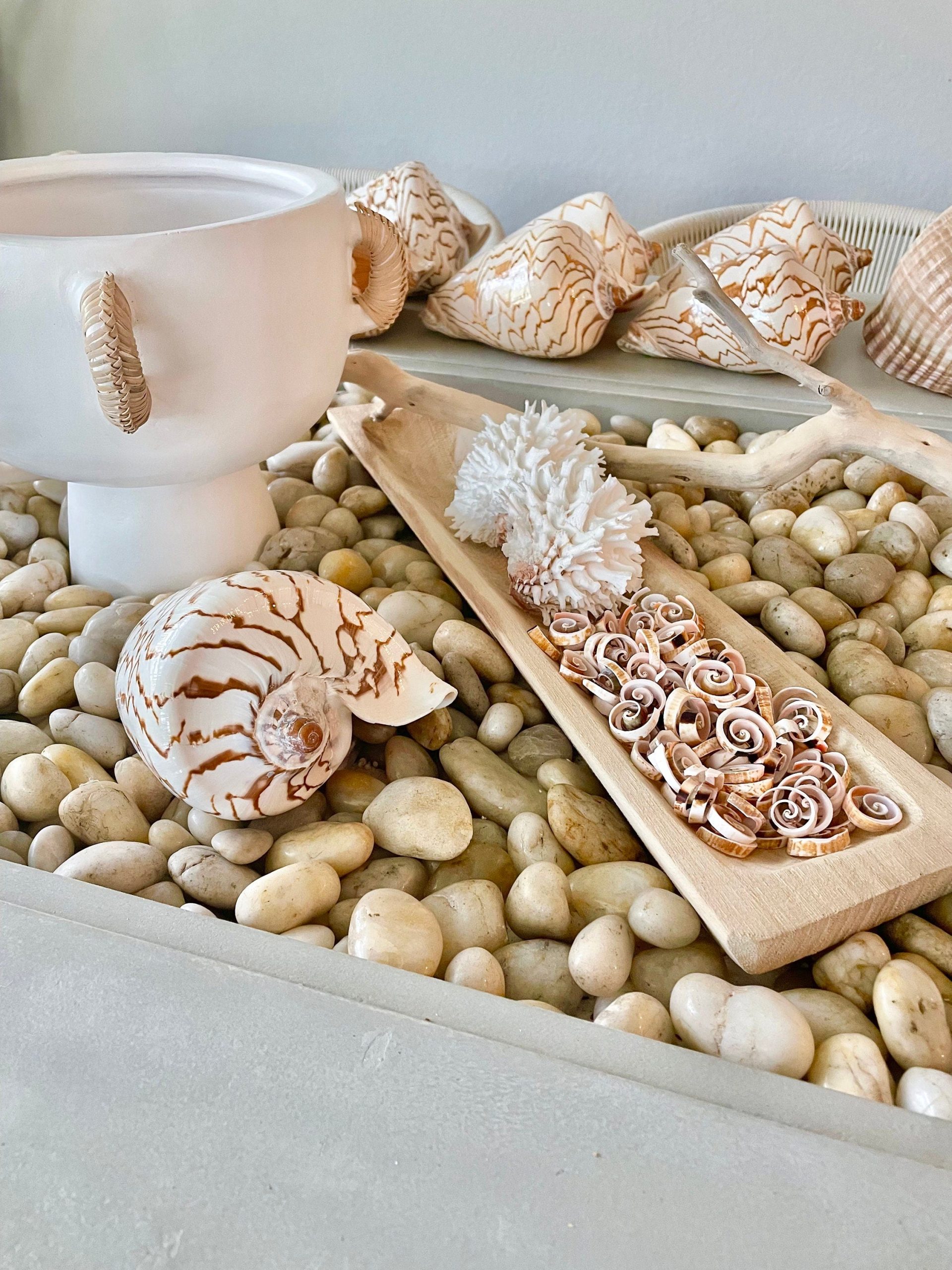 SWIRLY SPIRAL CUT Shells *100 Slices* .75-1" Pink Small Craft Seashells Strombus - Image 2