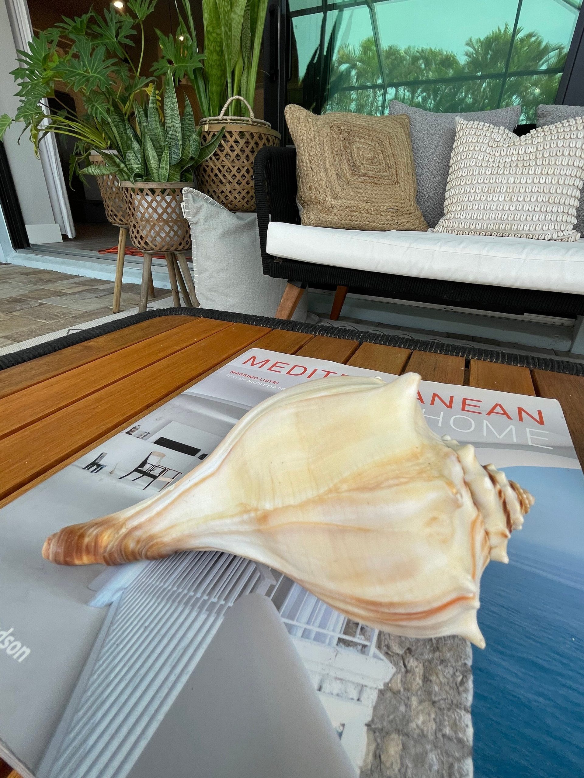 Natural North Pacific Whelk Shell *All Sizes* Coastal Home Décor - Image 7
