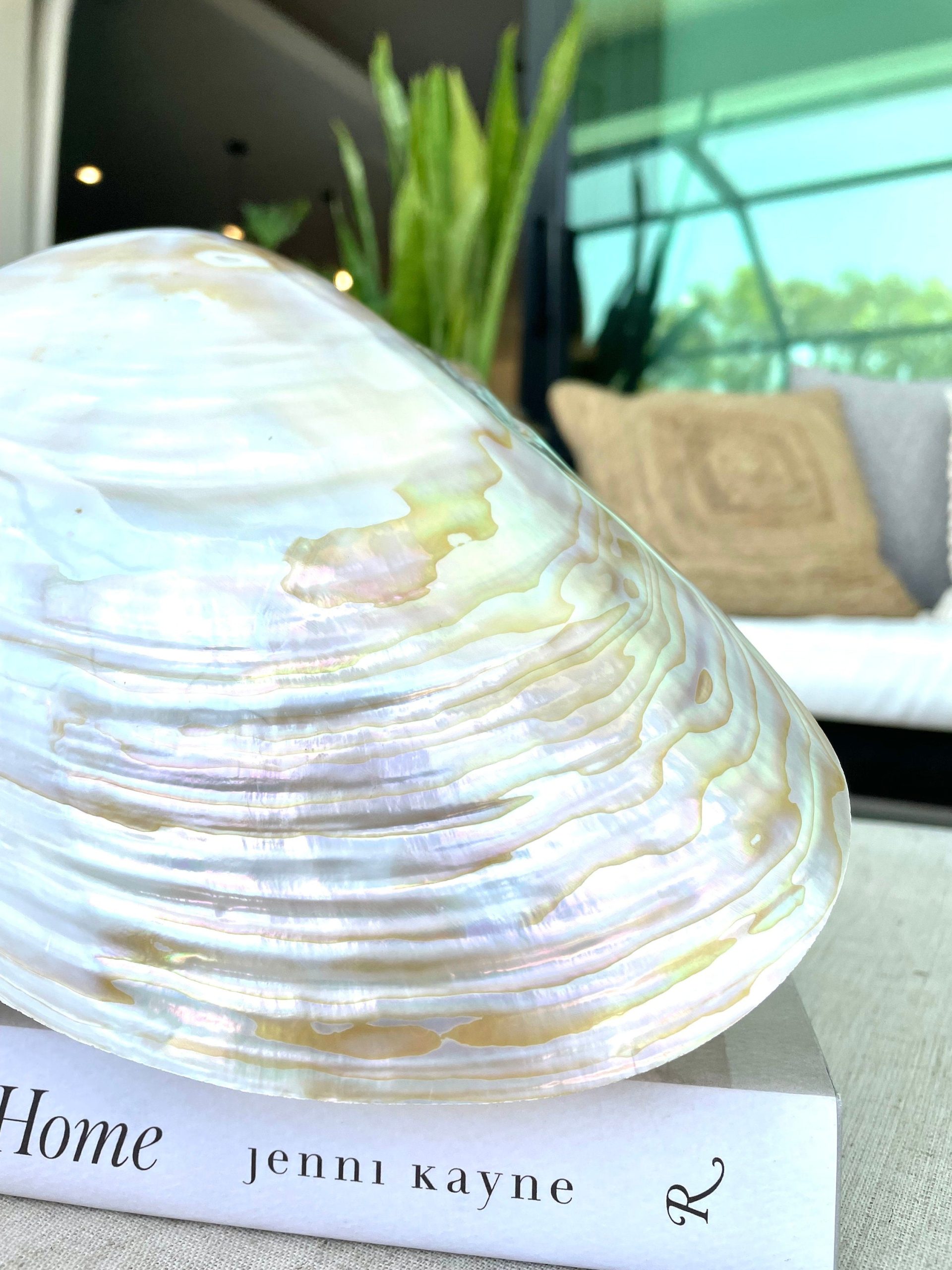 Giant Mussel Shell Half's *All Sizes* Polished Mother of Pearl Decorative Dish - Image 4