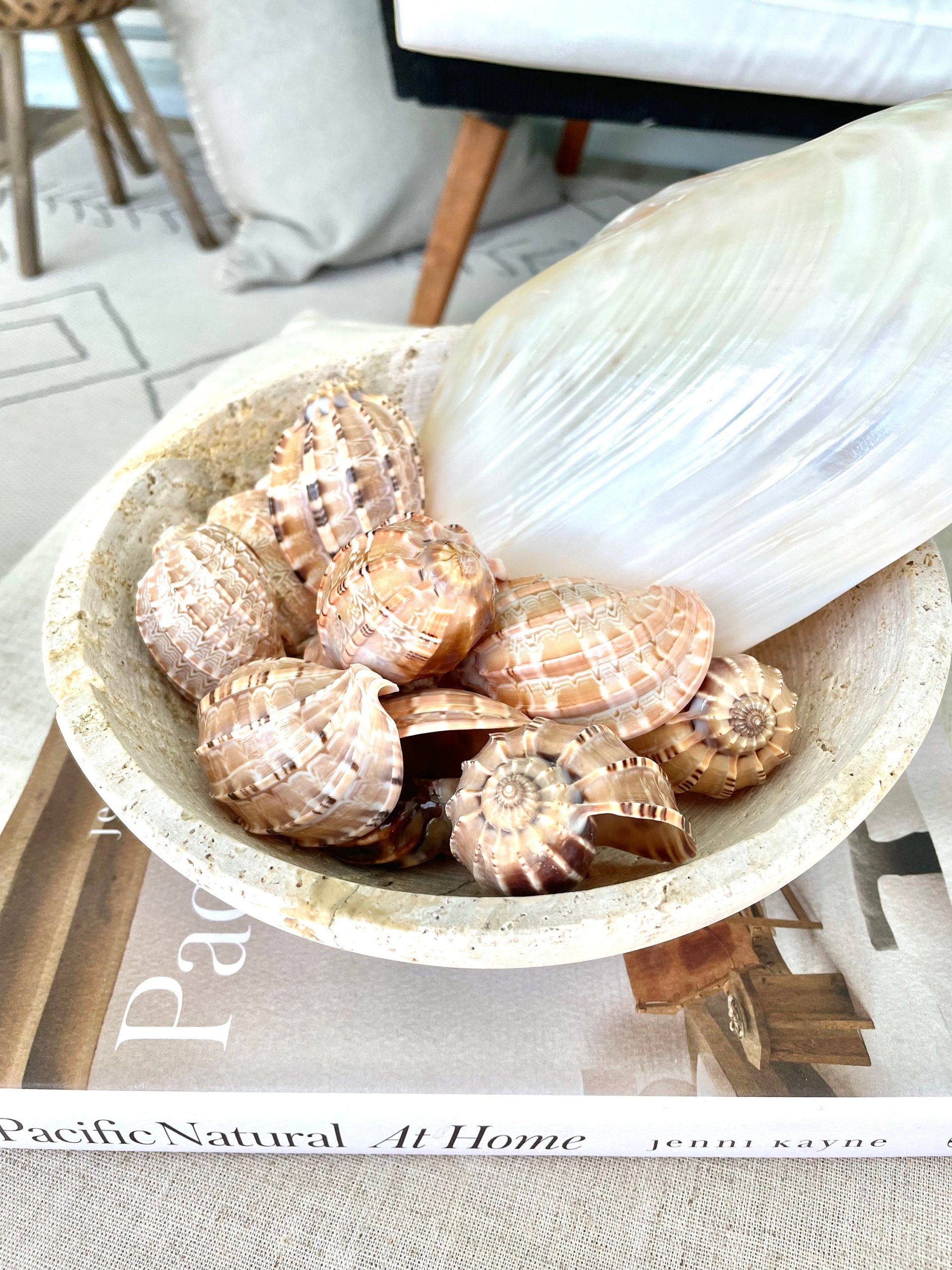 Giant Mussel Shell Half's *All Sizes* Polished Mother of Pearl Decorative Dish - Image 9