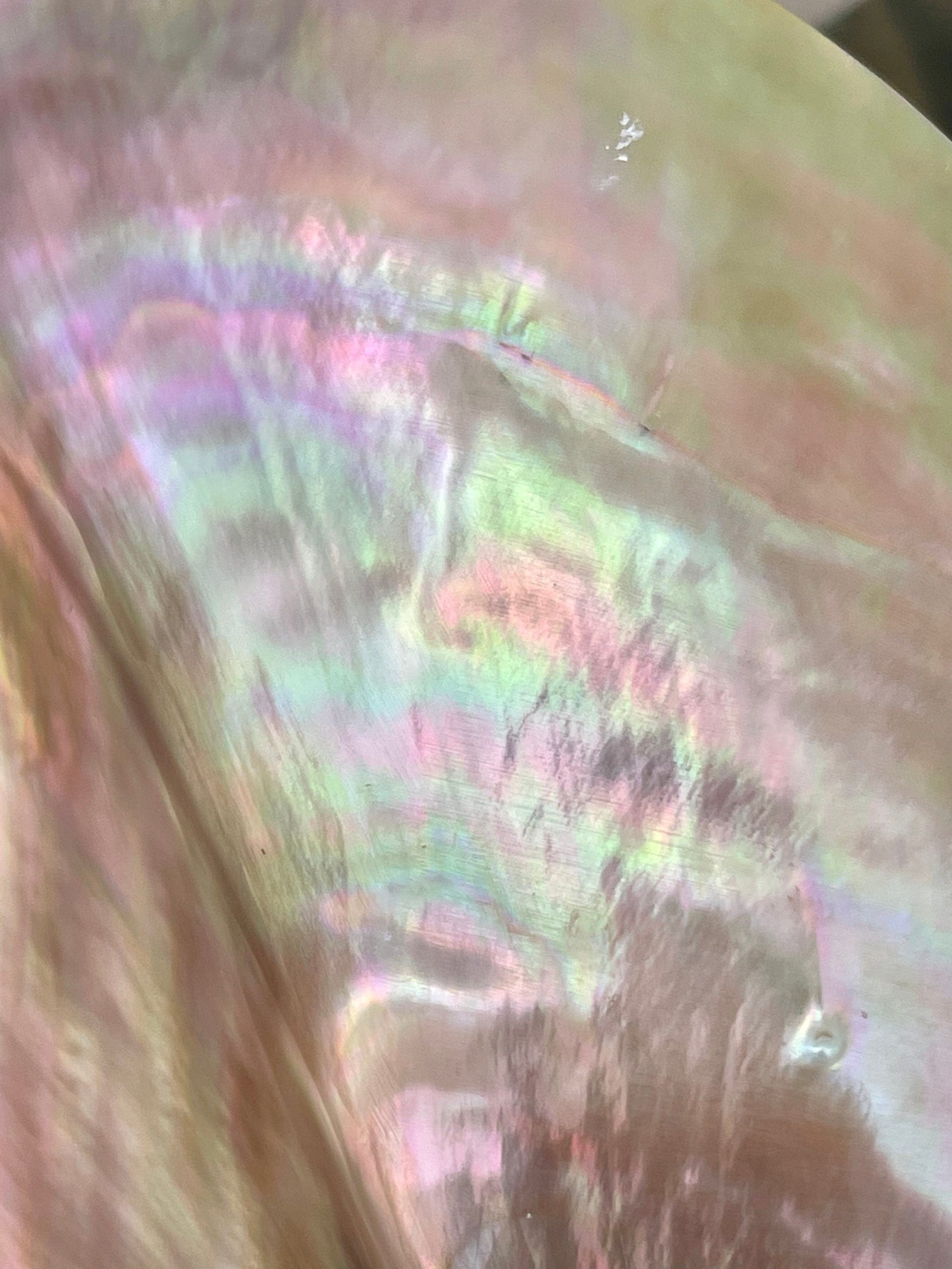 Iridescent Wing Oyster Shell: Brown Lip Mother of Pearl, Jewelry Pendant (2.5-6") - Image 10