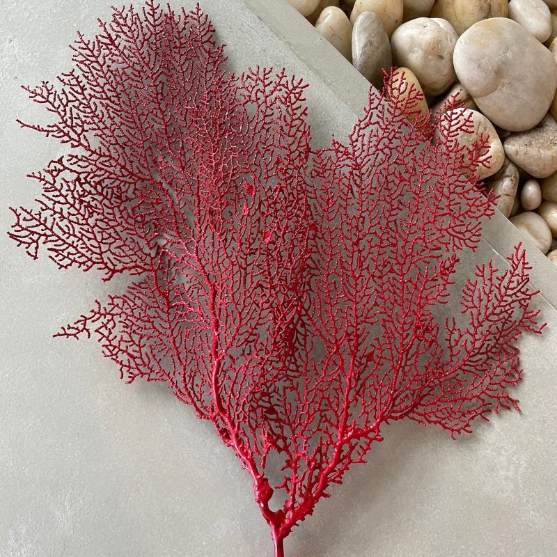 Red Sea Fan (8-20") *You Choose Size* Natural Hand Painted Coastal Décor