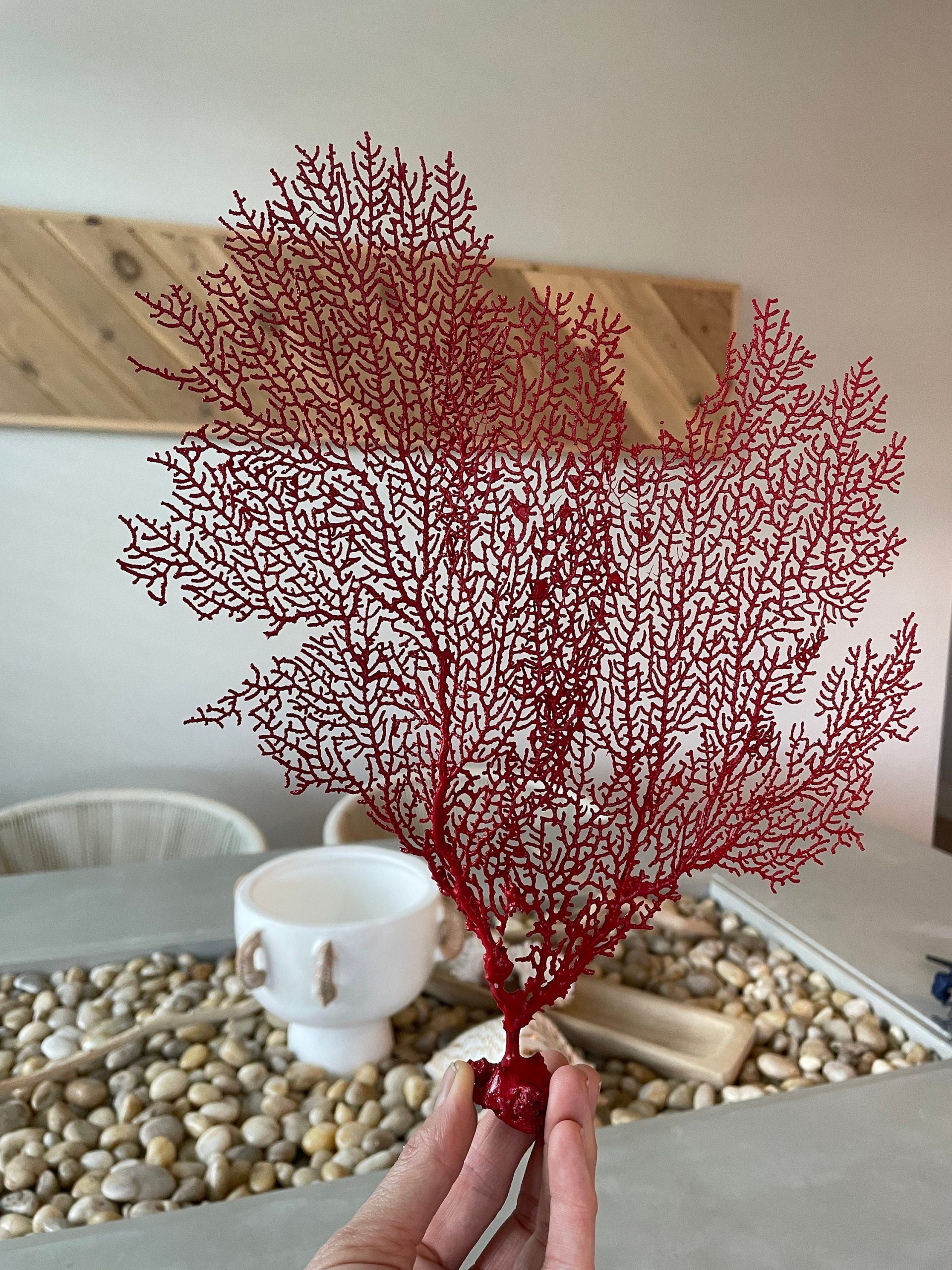 Red Sea Fan (8-20") *You Choose Size* Natural Hand Painted Coastal Décor - Image 10