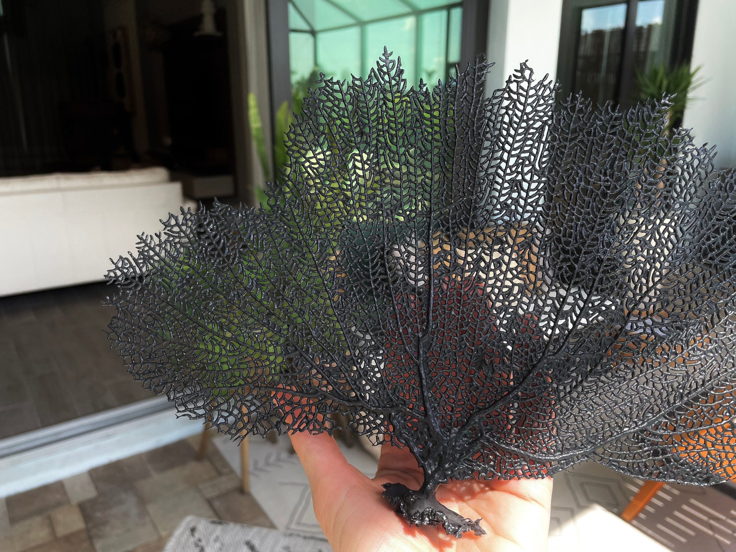 Black Sea Fan (8-20") *You Choose Size* Natural Hand Painted Coastal Décor - Image 5