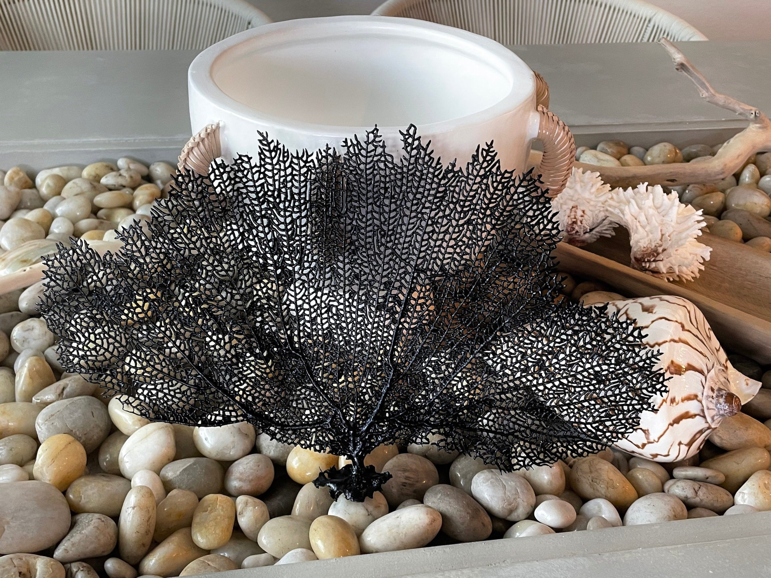 Black Sea Fan (8-20") *You Choose Size* Natural Hand Painted Coastal Décor - Image 9